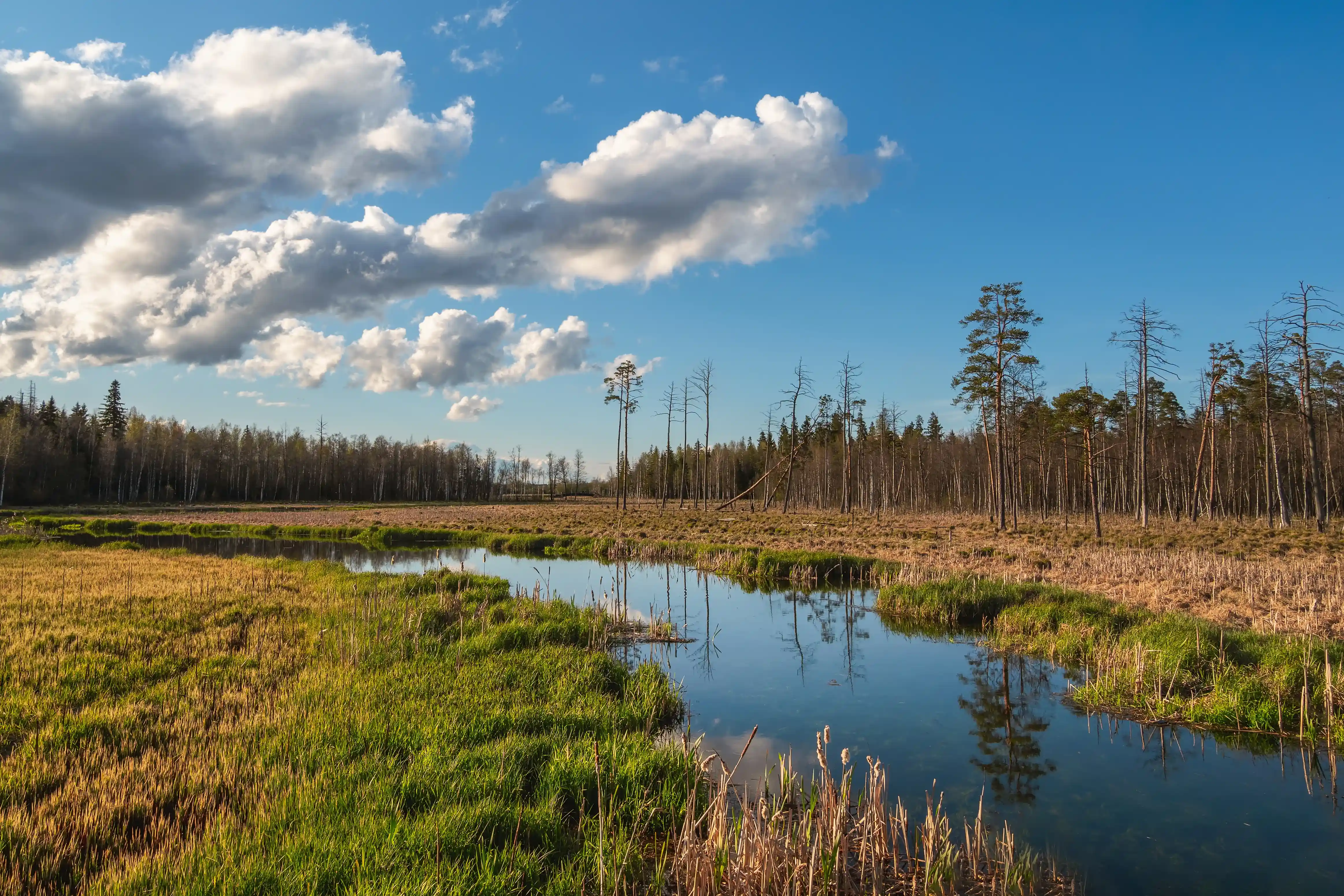 Water flow analysis for environmental protection