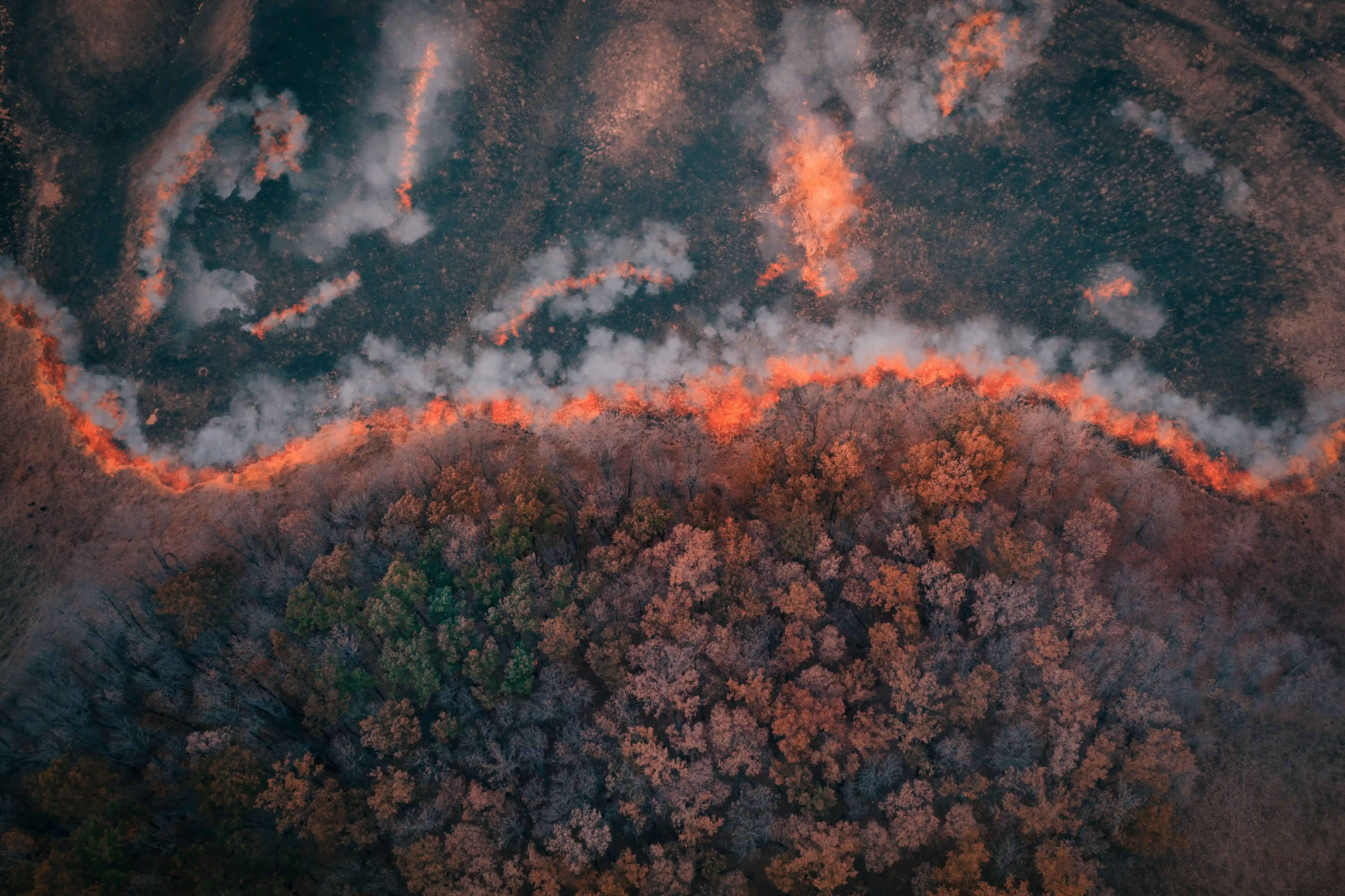 Wildland-urban interface wildfire and environmental risks