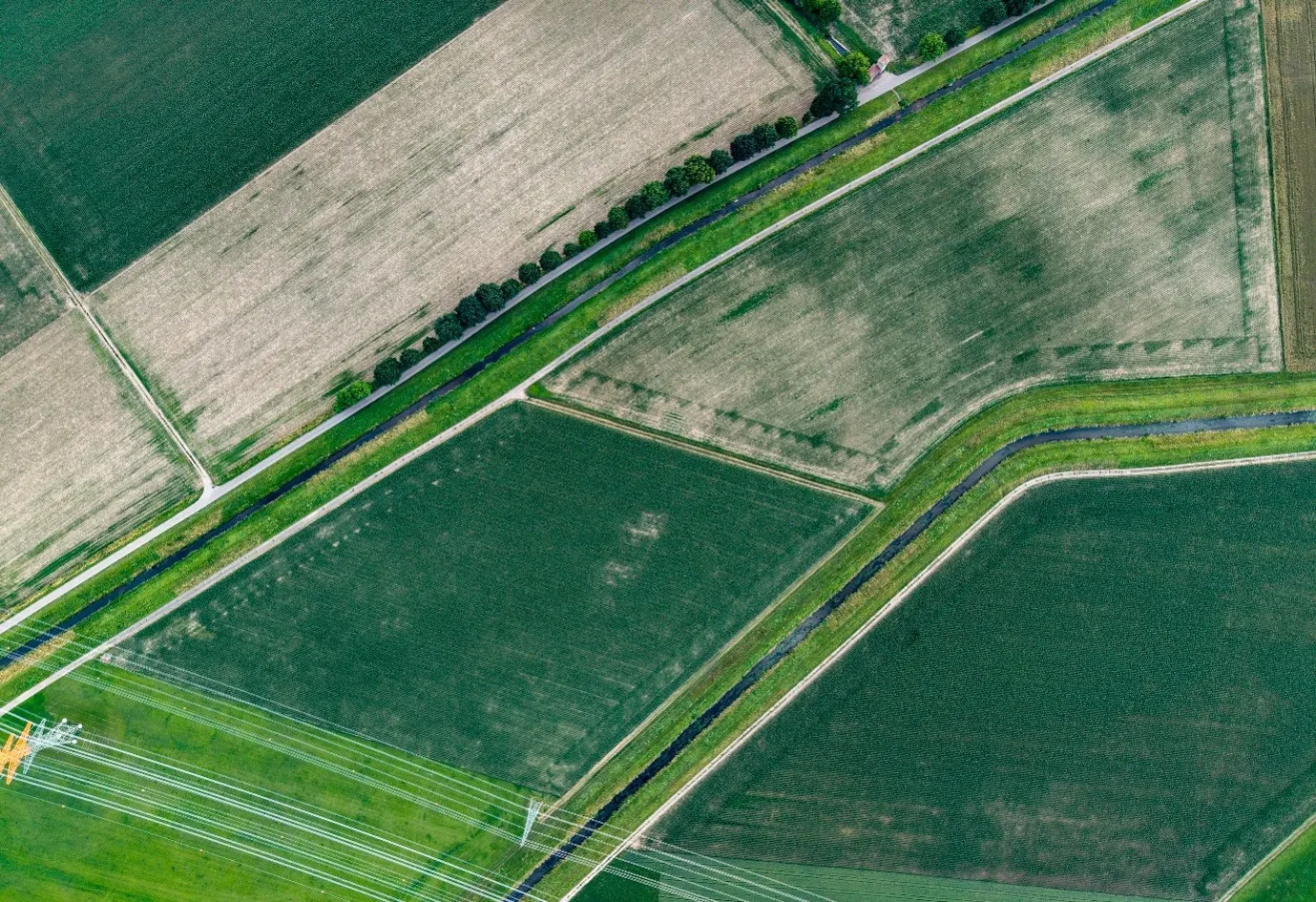 Picture of a field