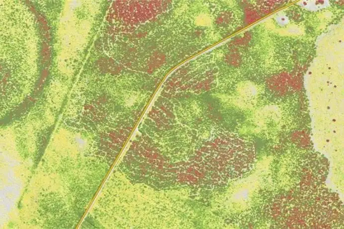 Canopy Height Model