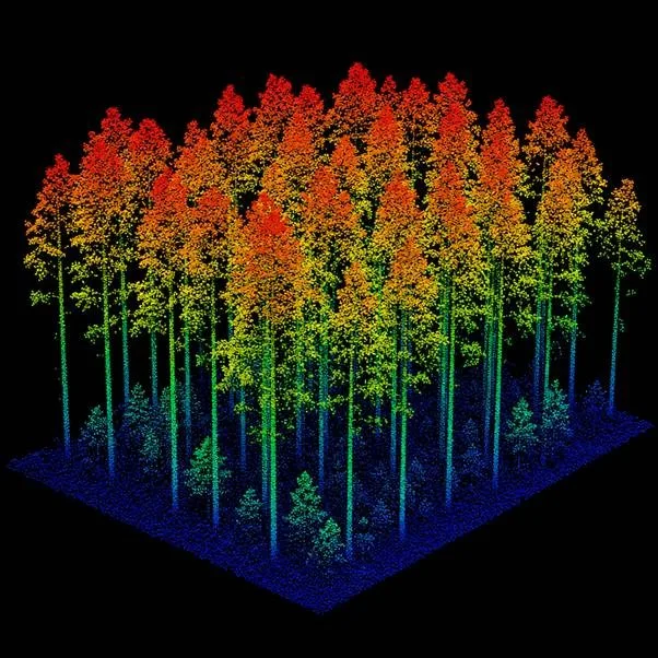 trees