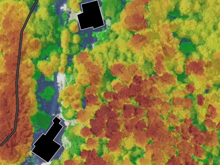 Risk Mapping of Forest Fires1