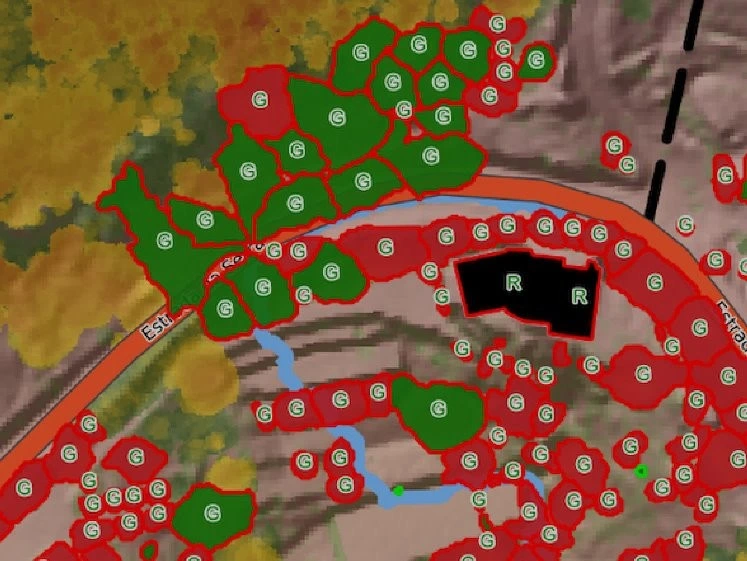 Risk Mapping of Forest Fires2