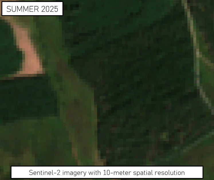 satellite imagery