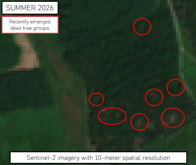satellite imagery