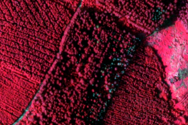 satellite imagery