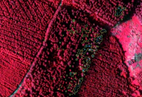 satellite imagery