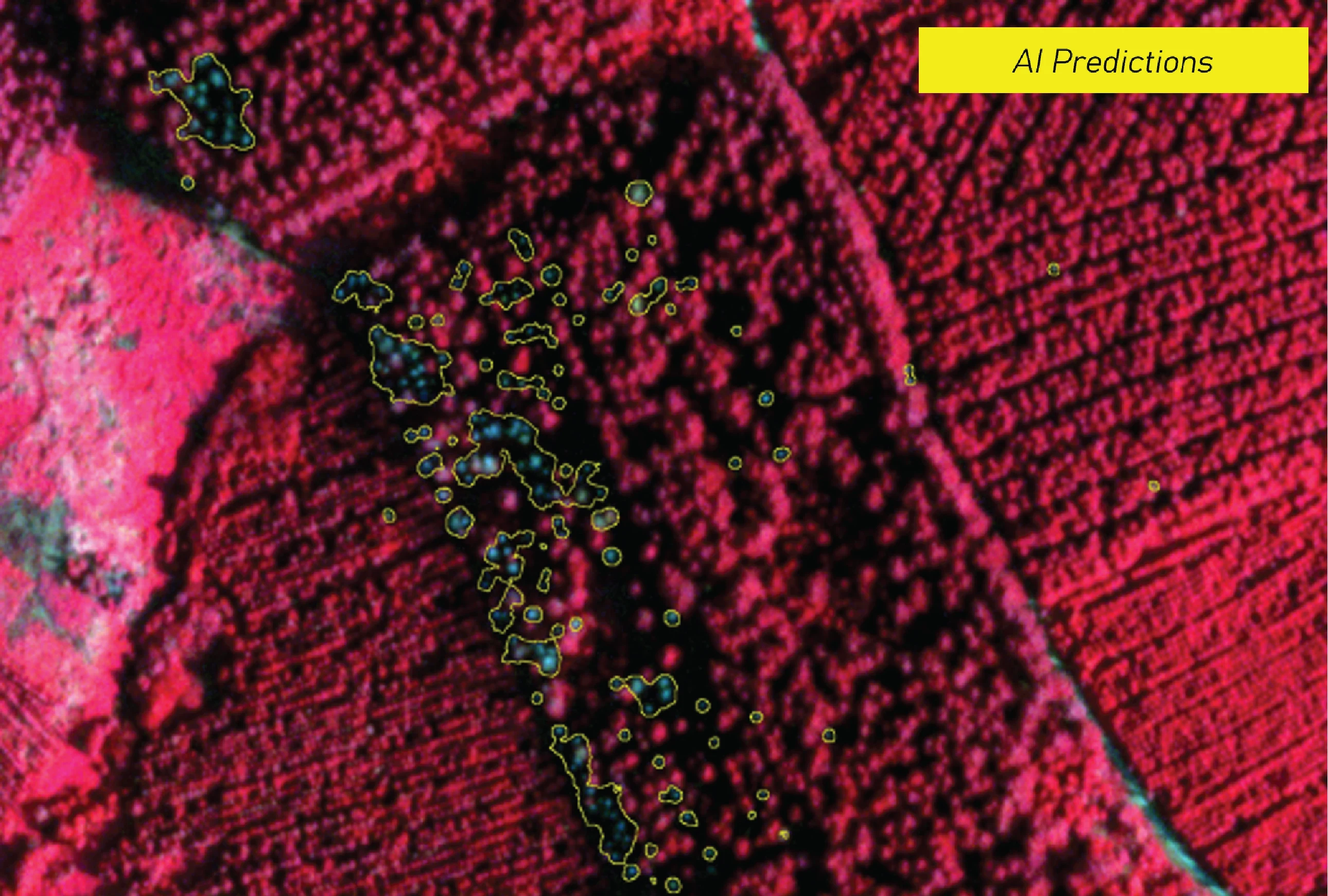 Artificial Intelligence prediction of deadwood in very high-resolution satellite imagery