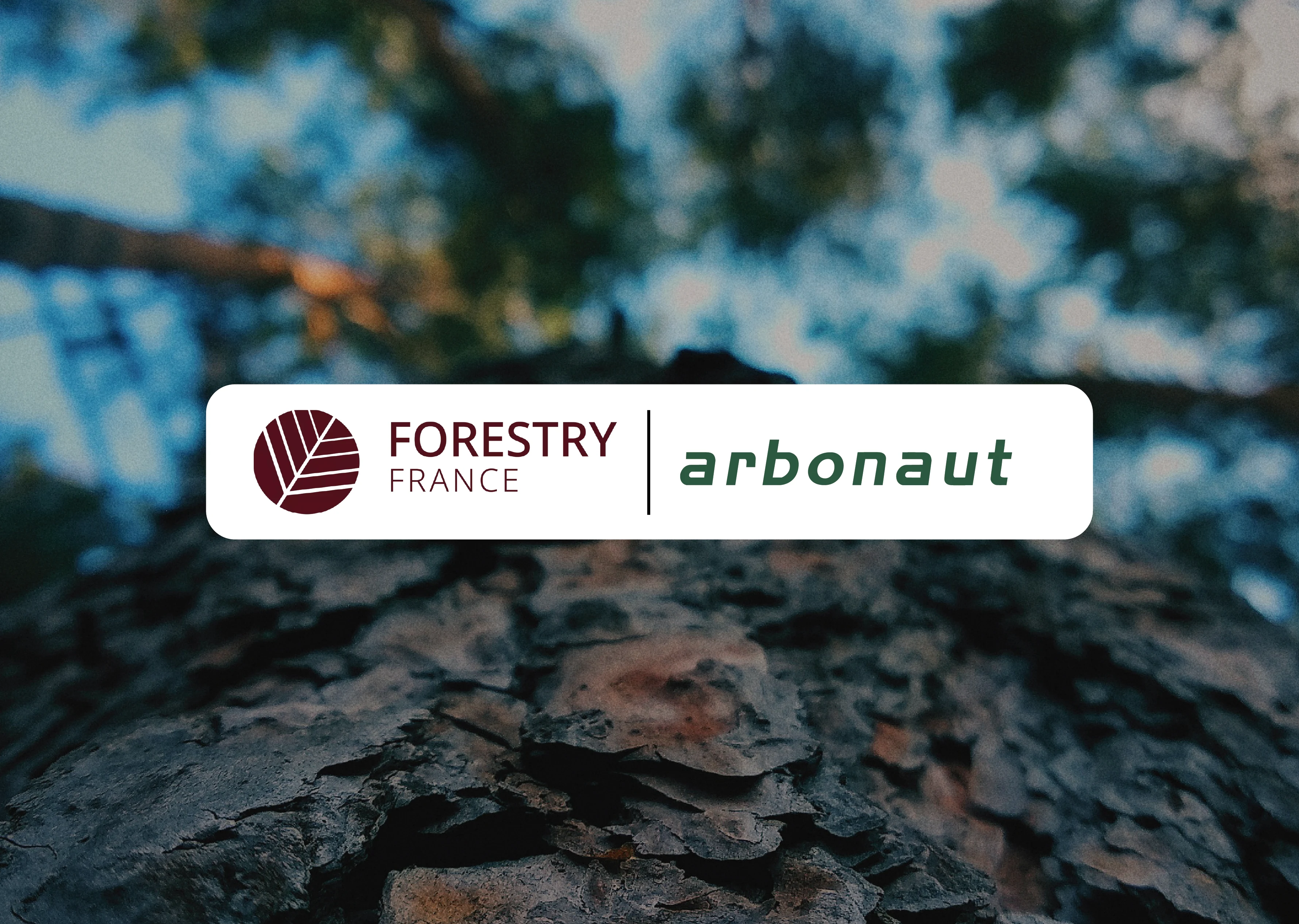 Digital forestry partnership between Arbonaut and Forestry France