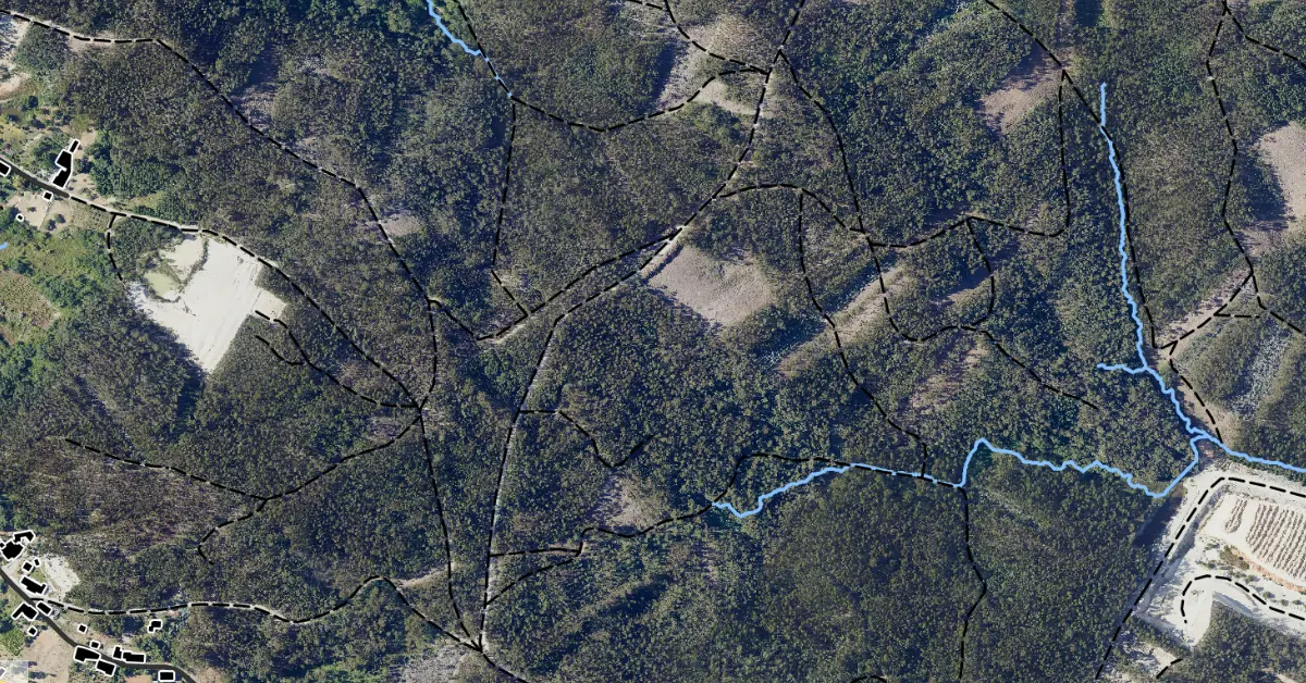 Road Mapping for Best Forest Access