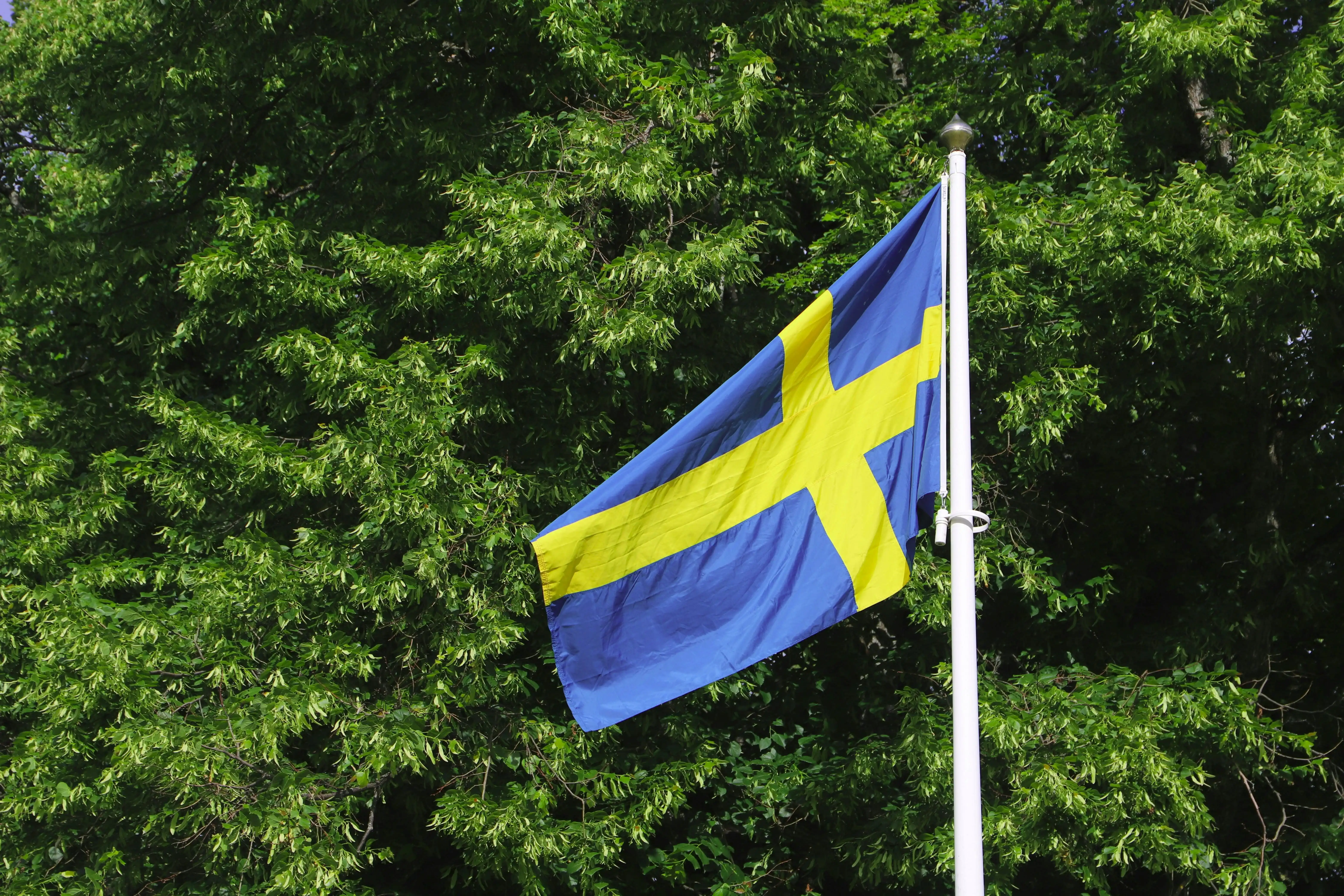 Swedish flag