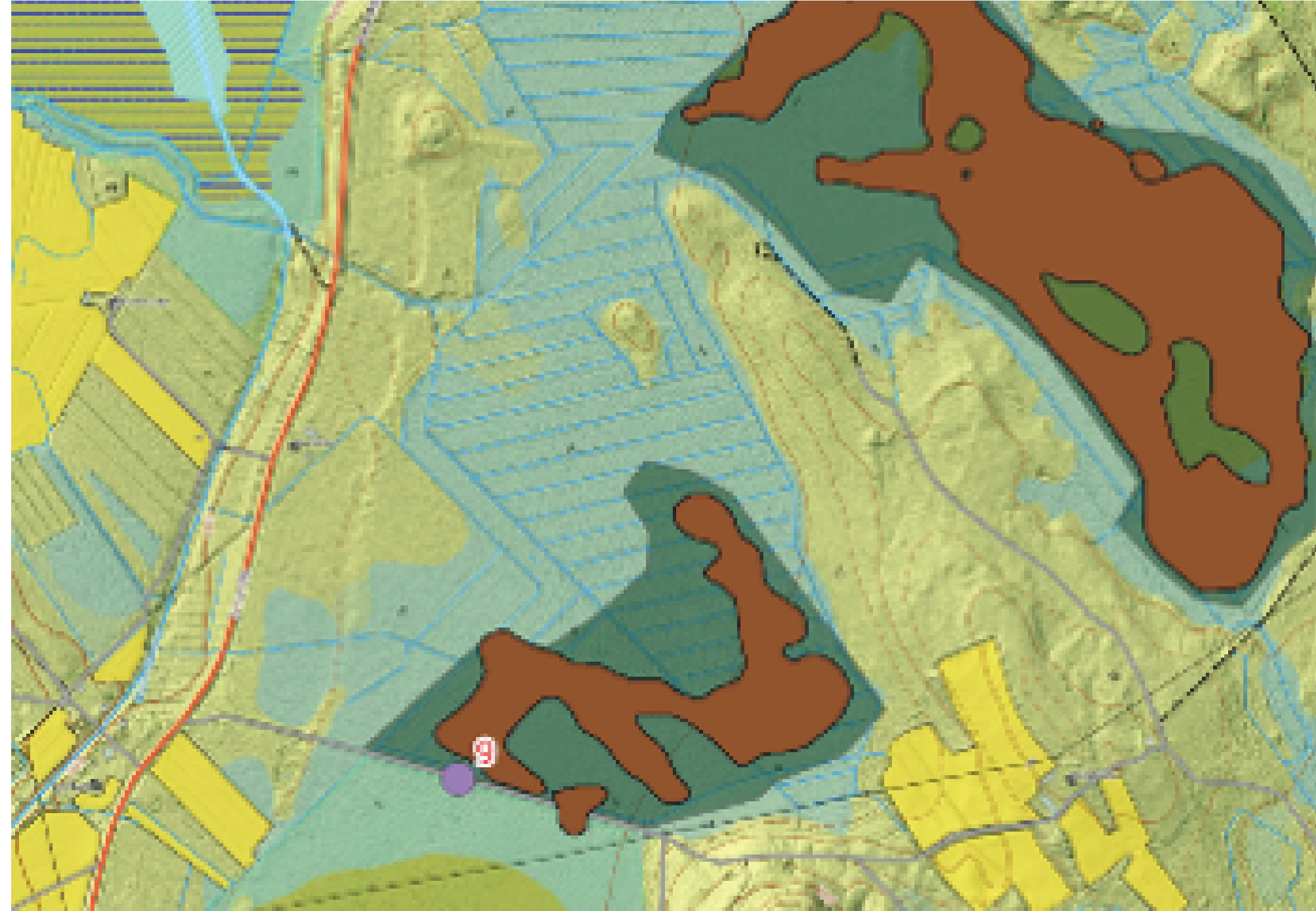 Restoration site identification by AI