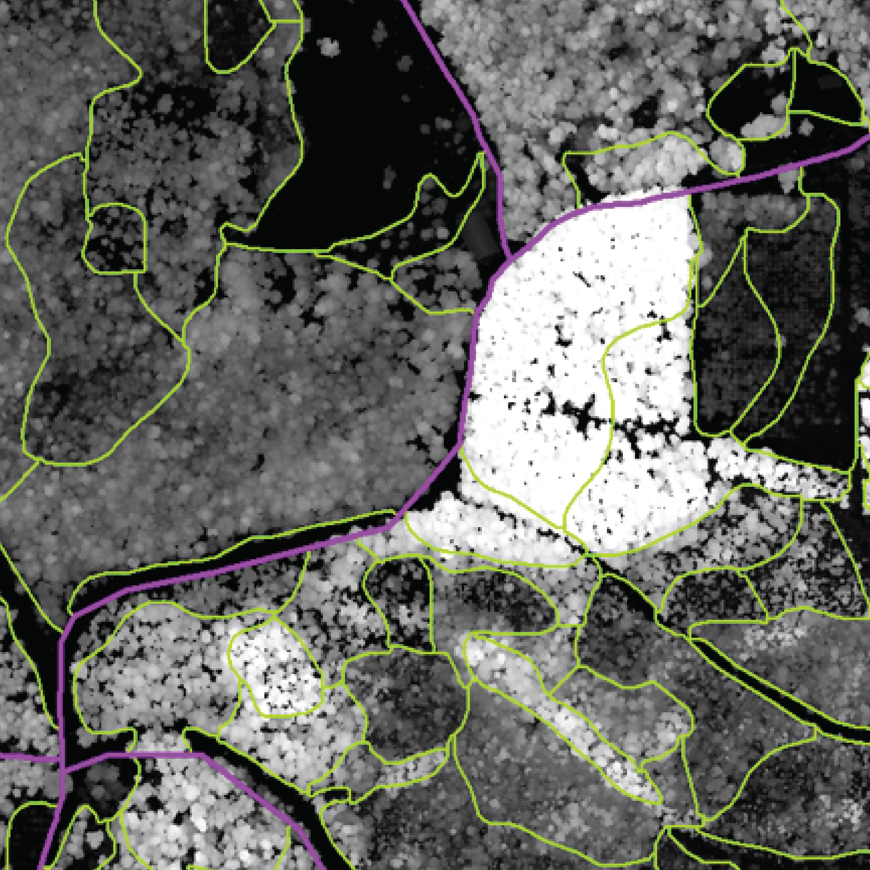 Operations in plantation management