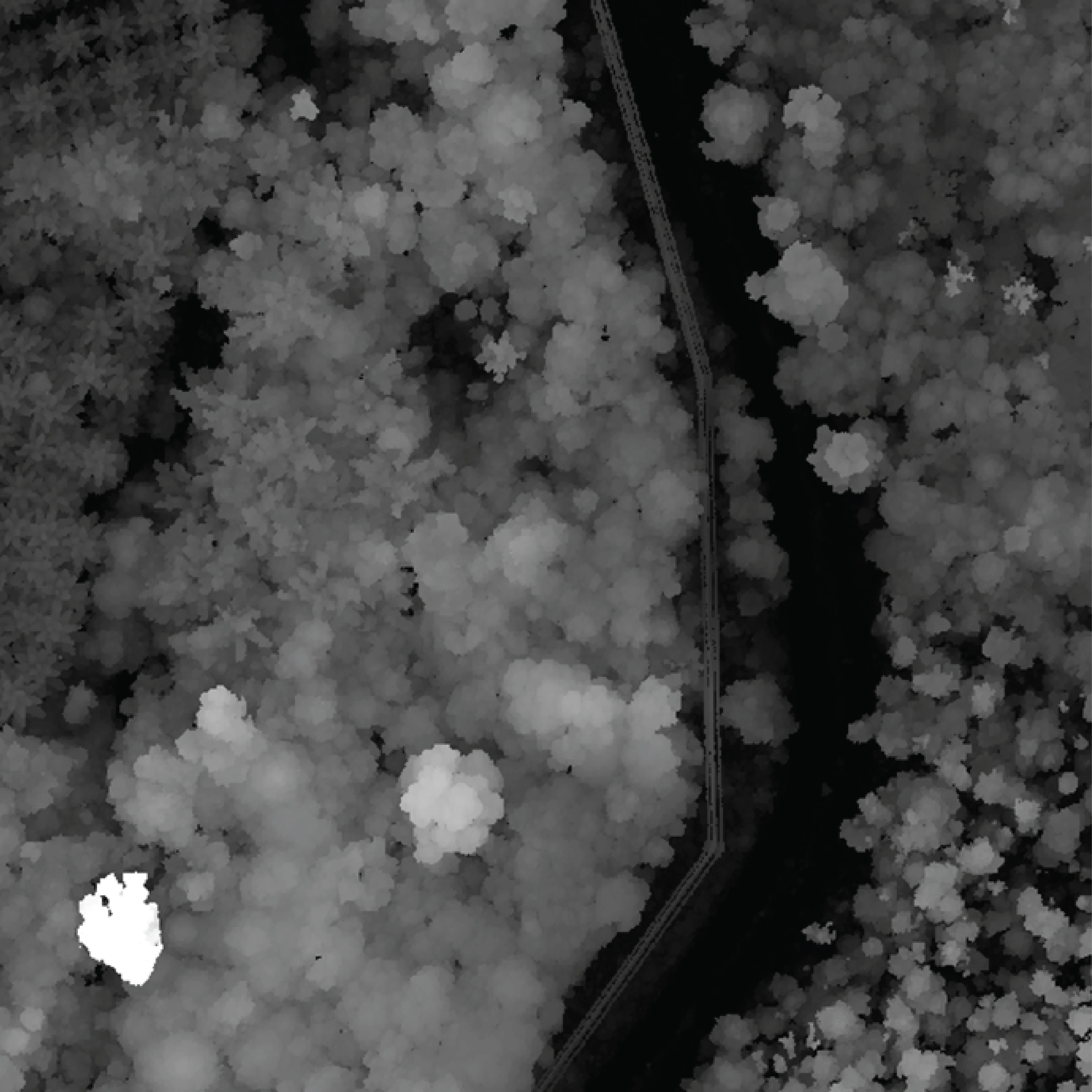 Terrain CHM and slope