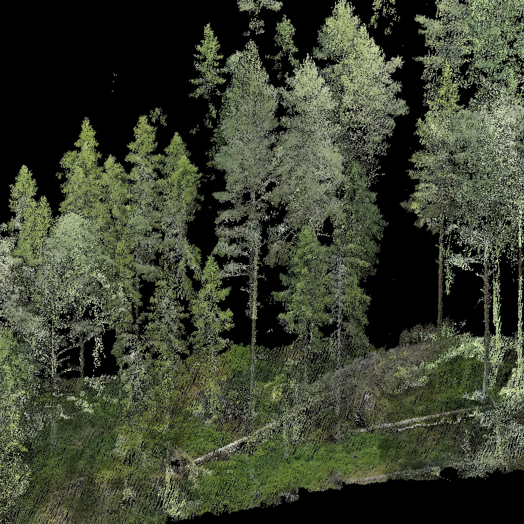 Hyper resolution forest inventory