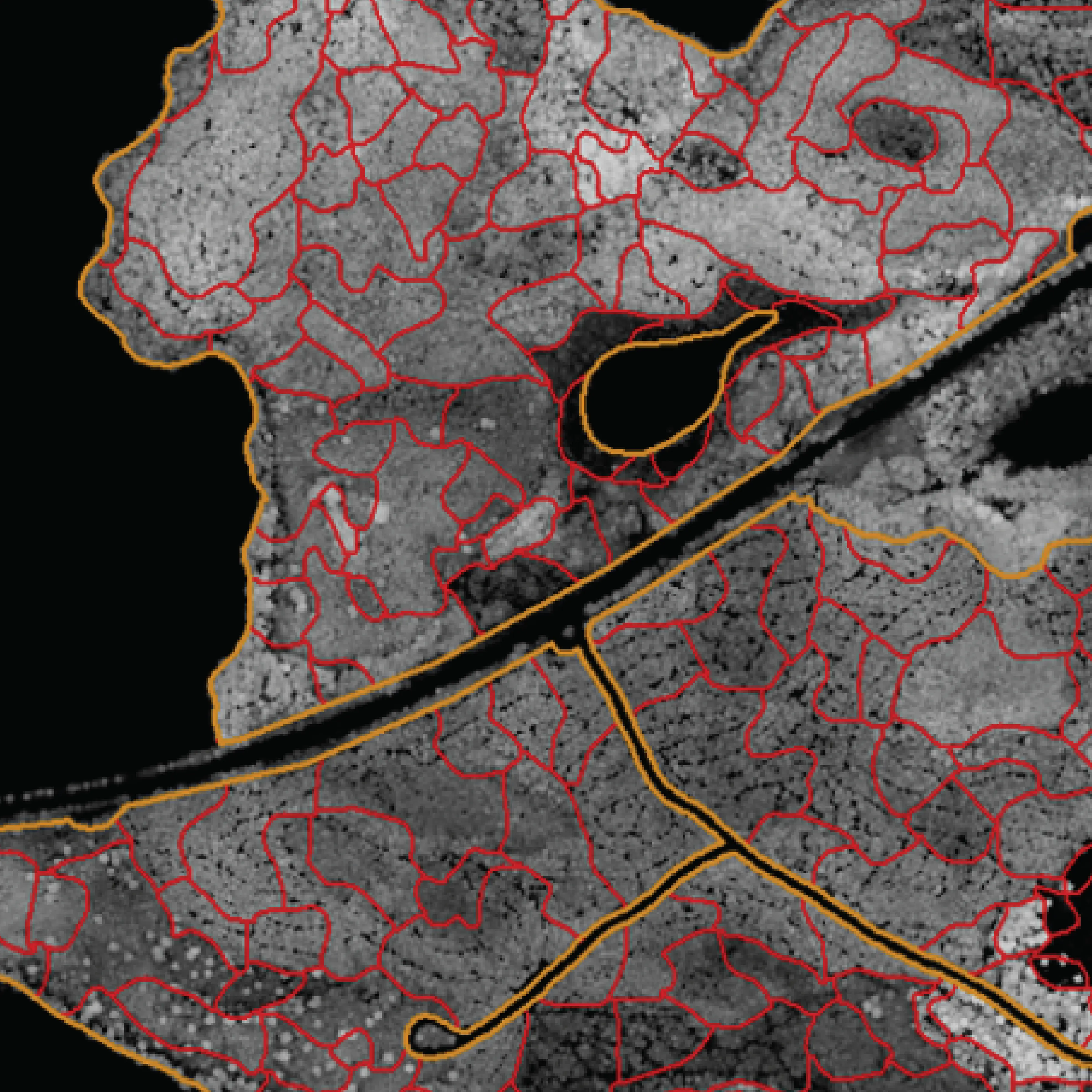 Automatic segmentation and delineation layer