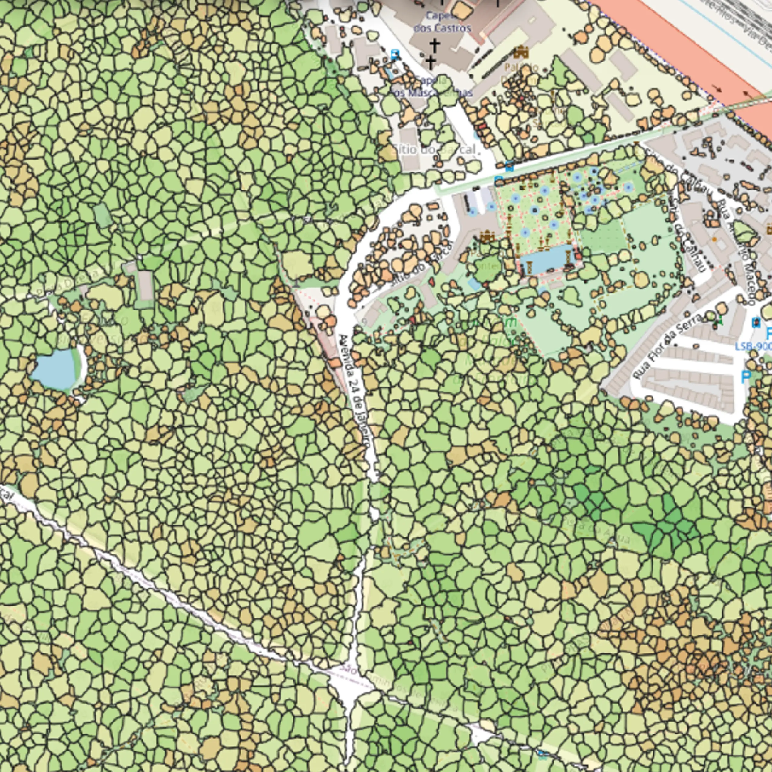 Canopy Base Height (CBH) map
