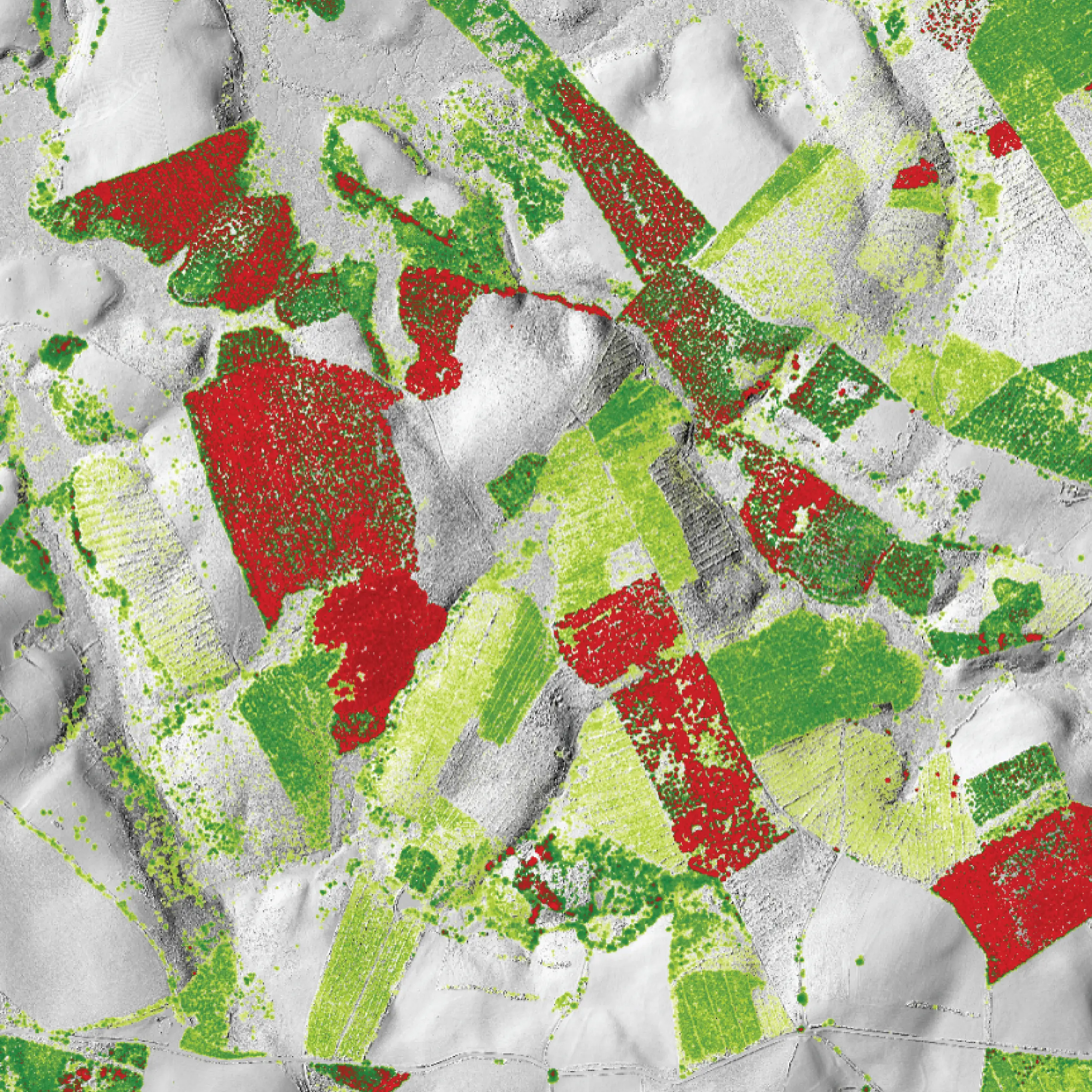 Canopy Height Model (CHM)