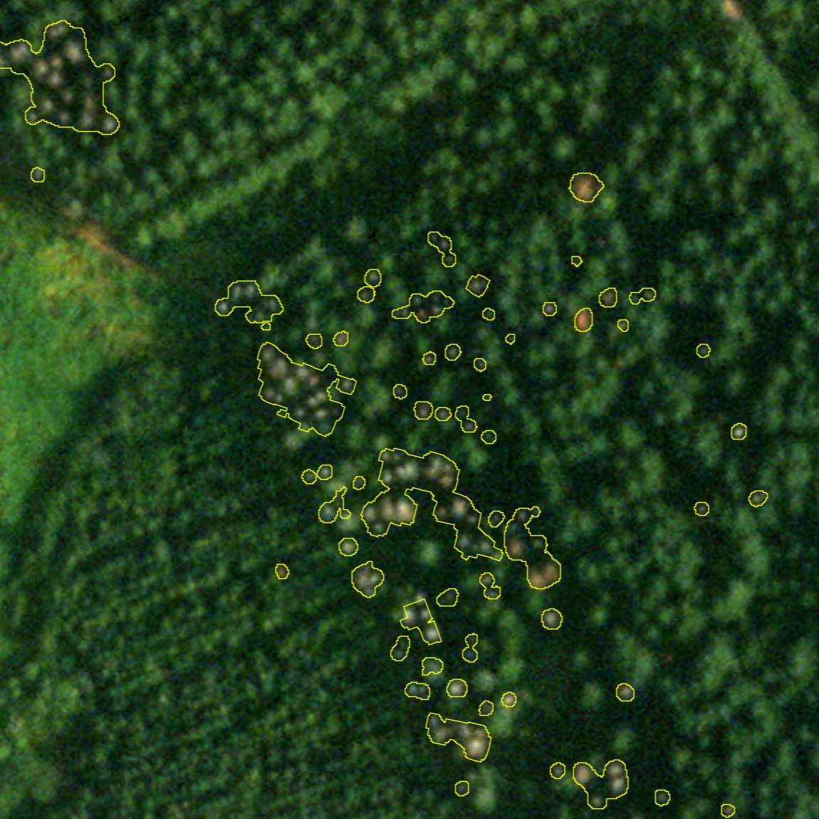 Deadwood mapping with commercial satellites