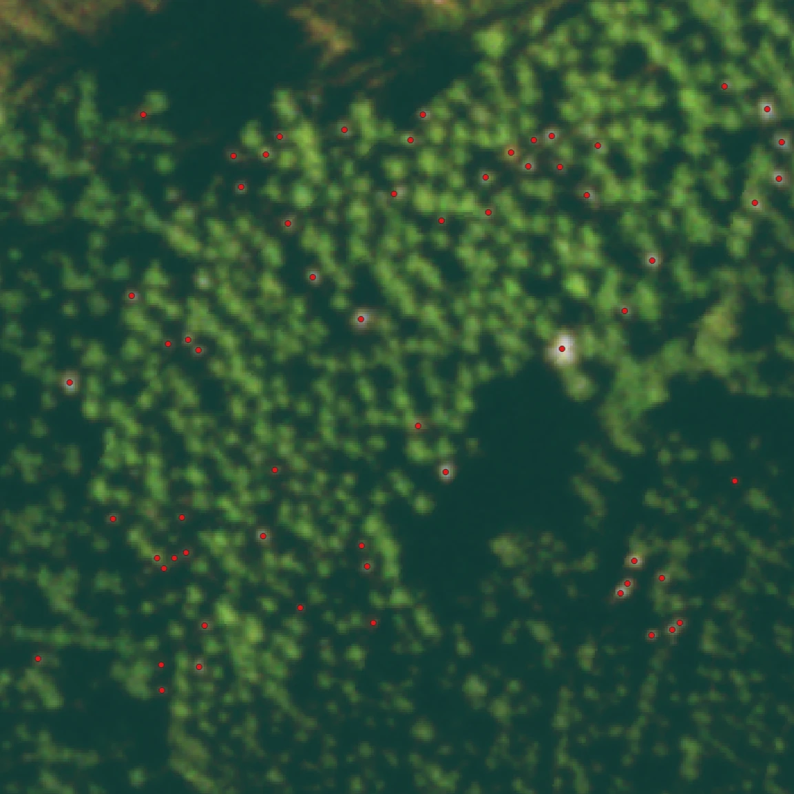 Mapping of individual deadwood