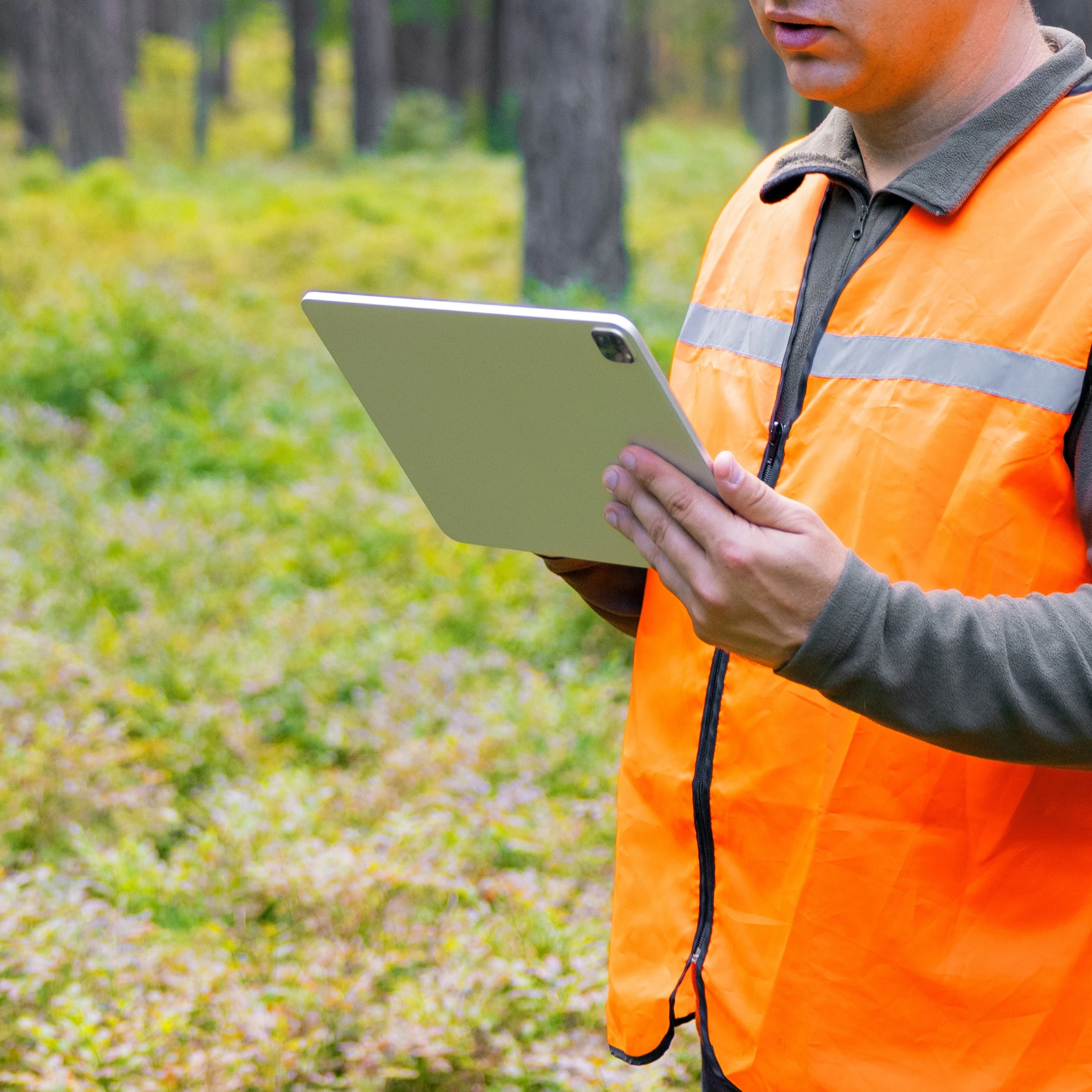 Saving forest planning time