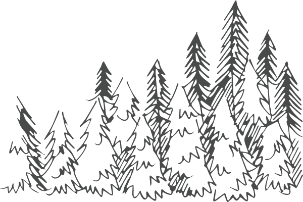 Remote-sensing data for forestry needs