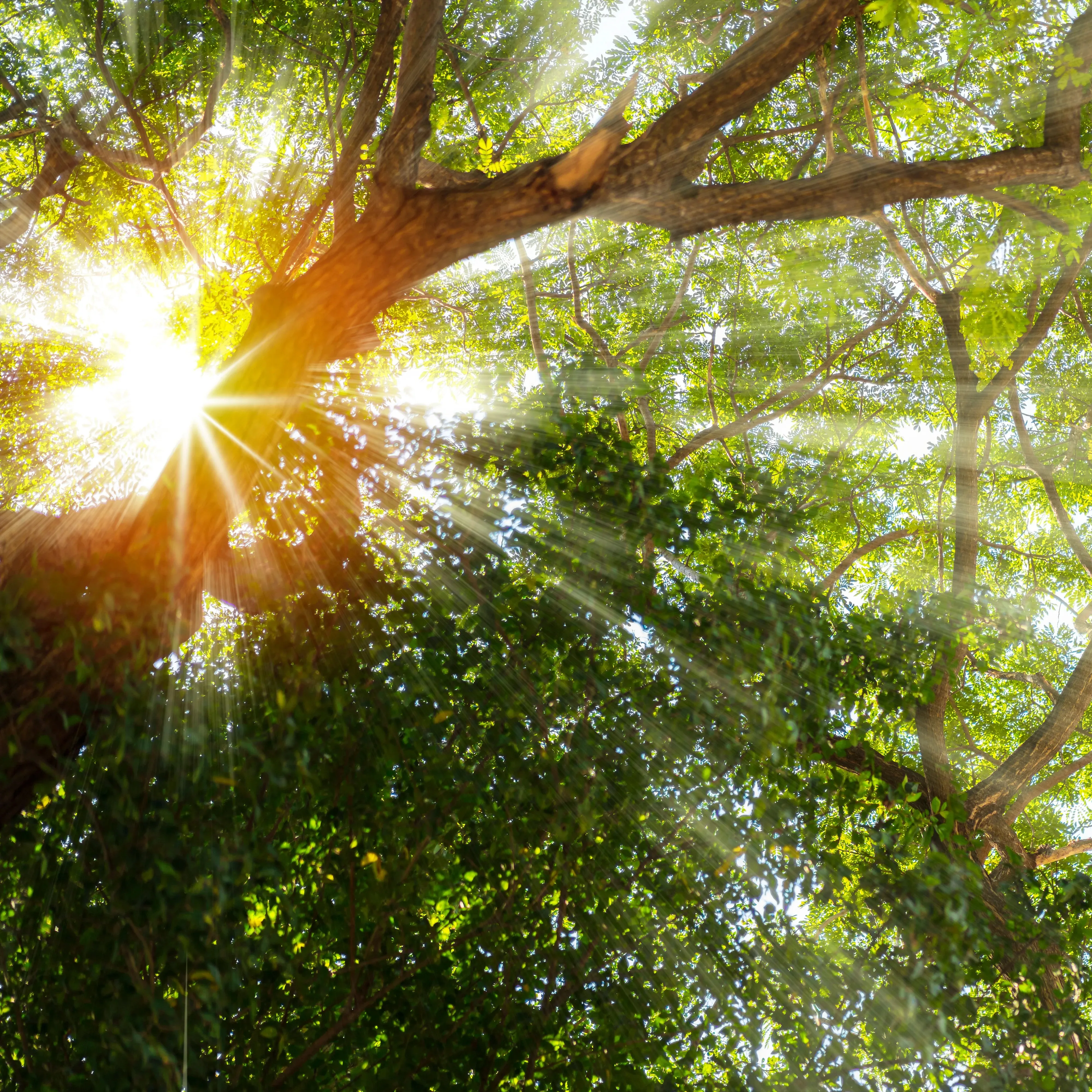 Environmental responsibility