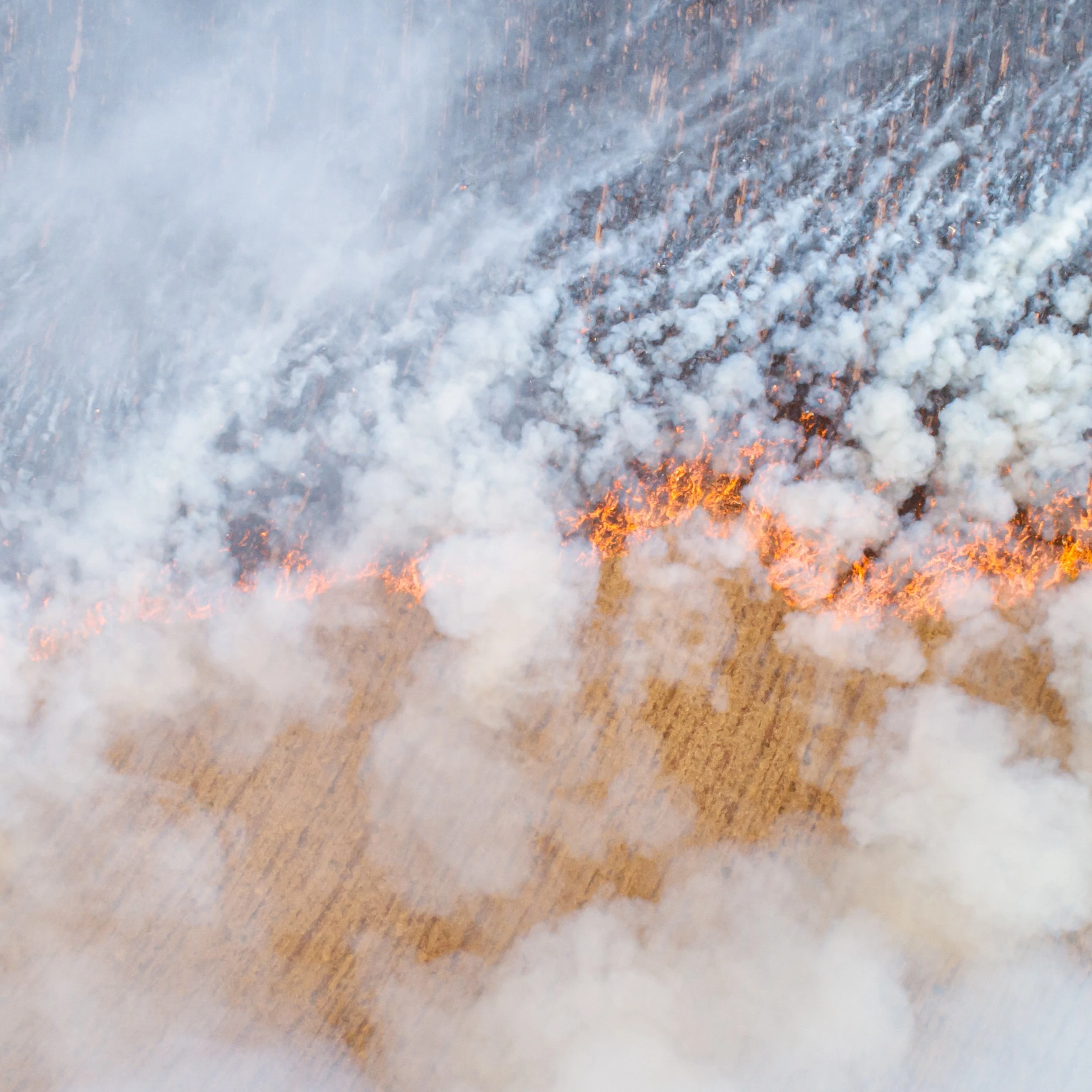 Cenralized app management