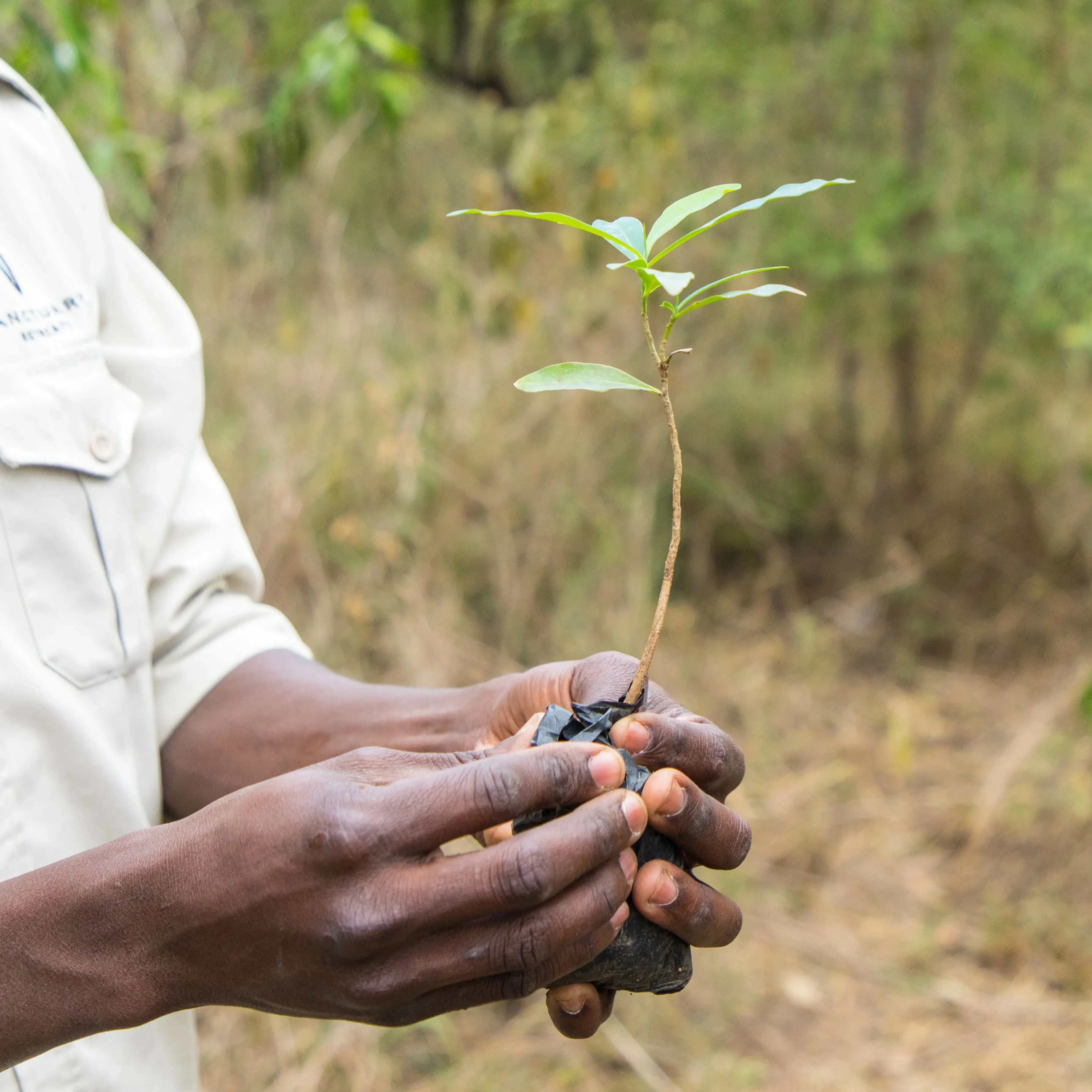 App for field work performance