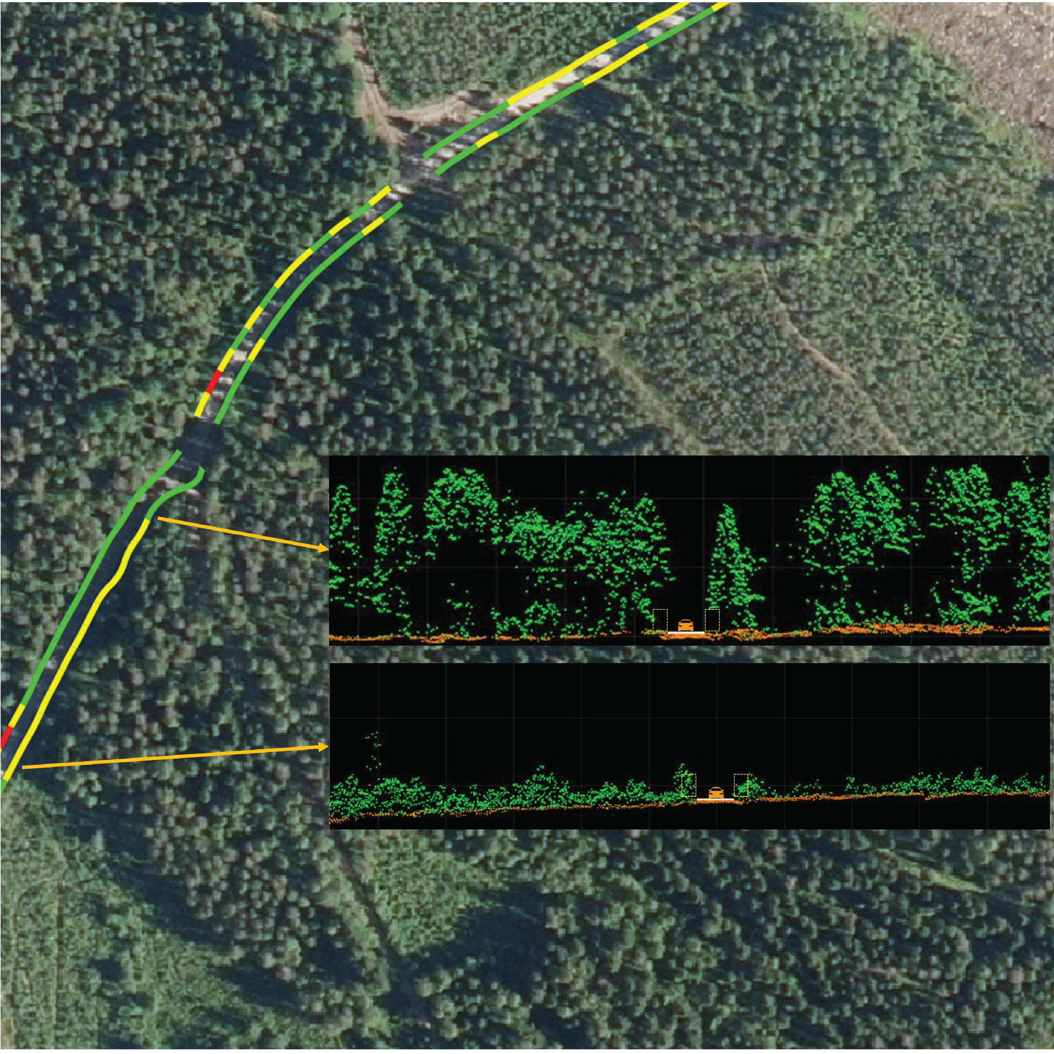 Road corridor and vegetation