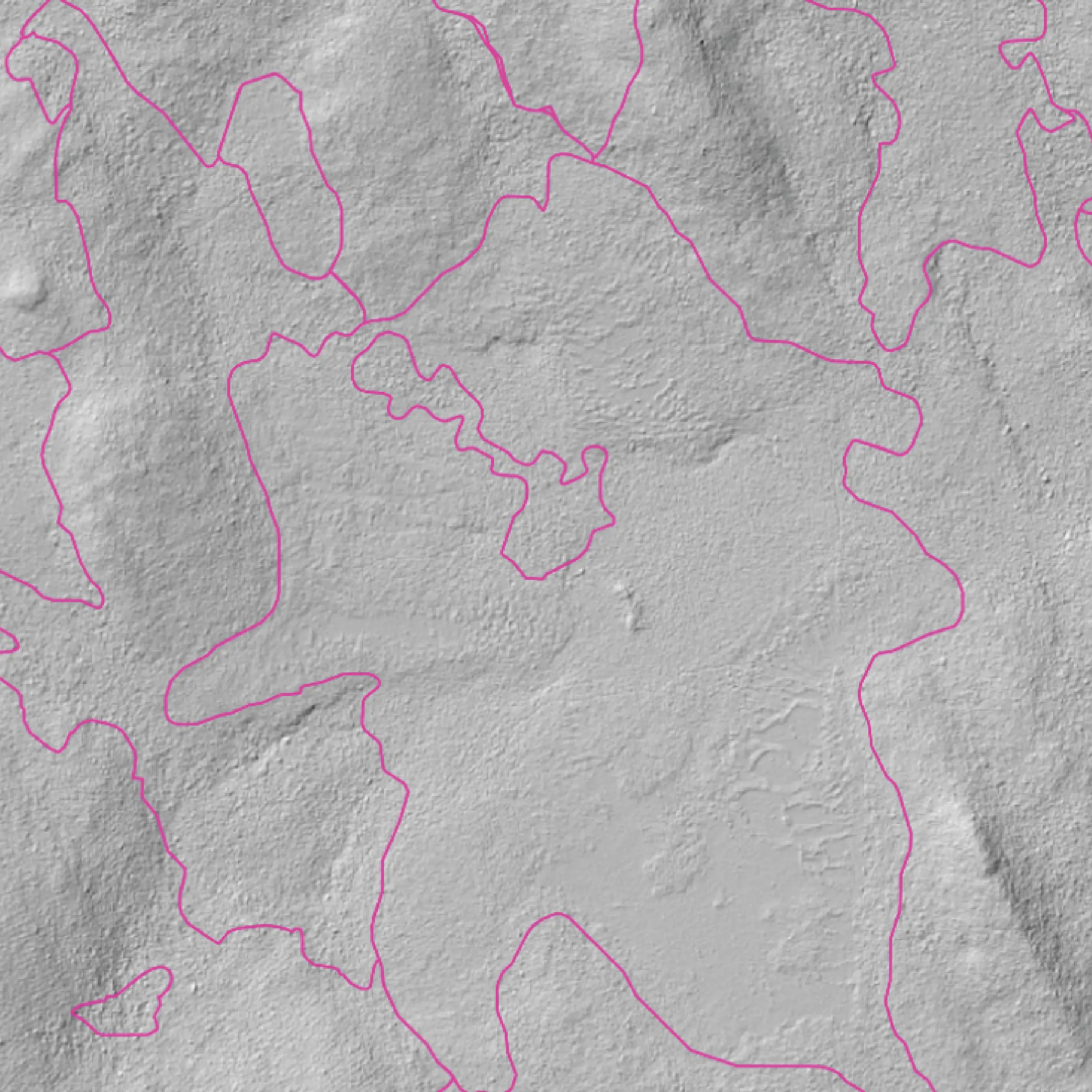 Forest stand boundaries