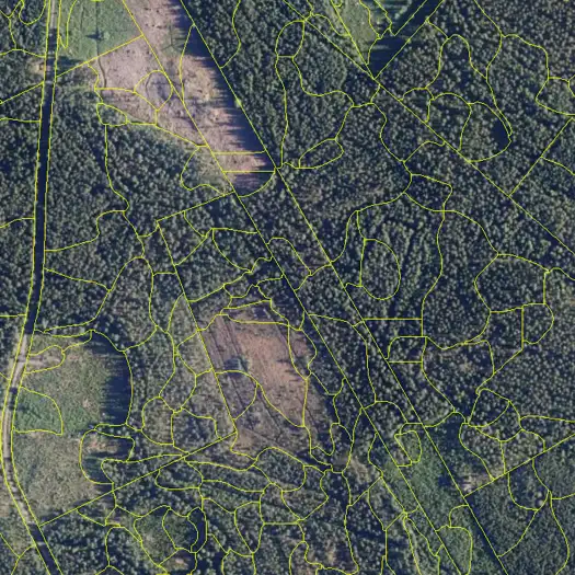 Automatic segmentation layer