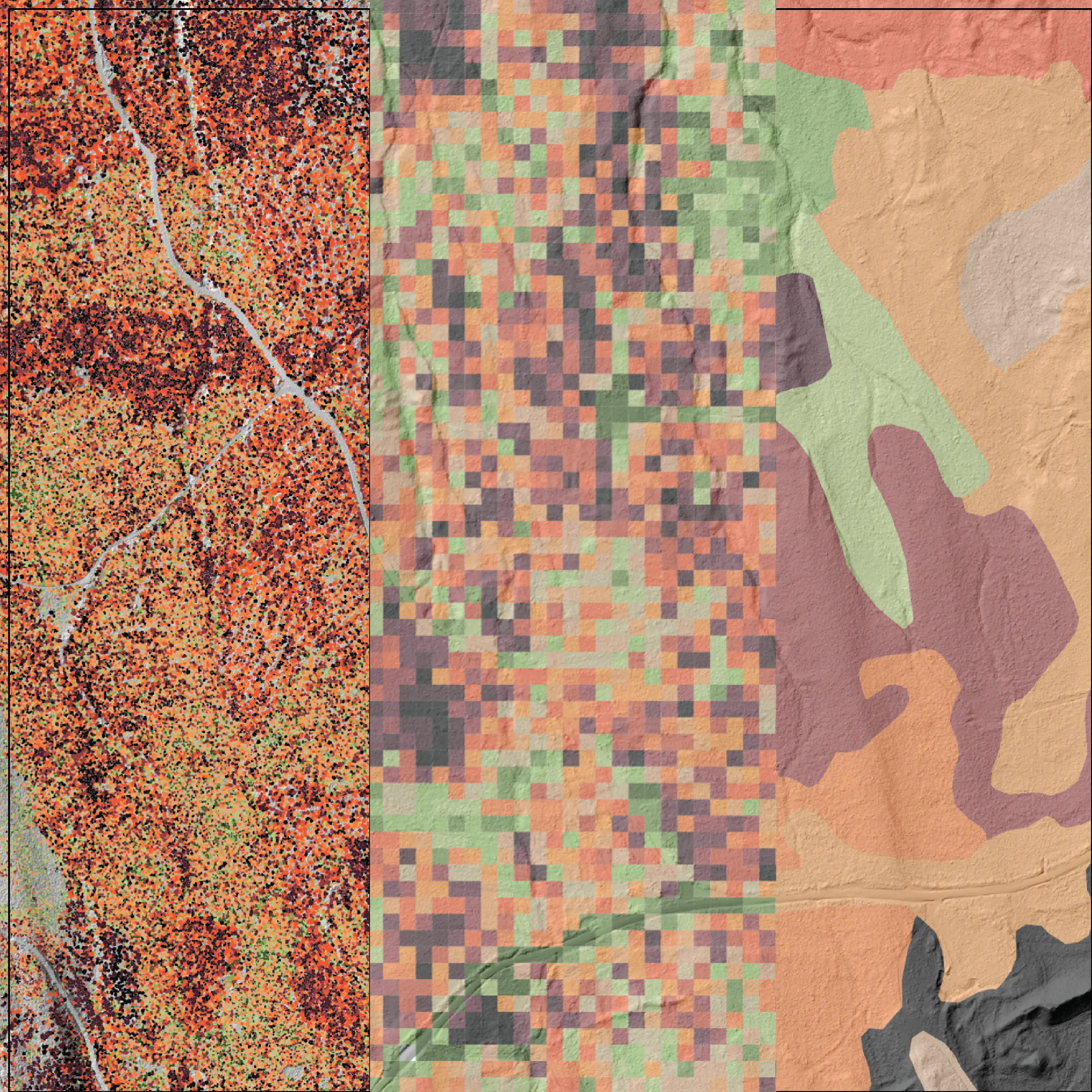 Tree volume from LiDAR