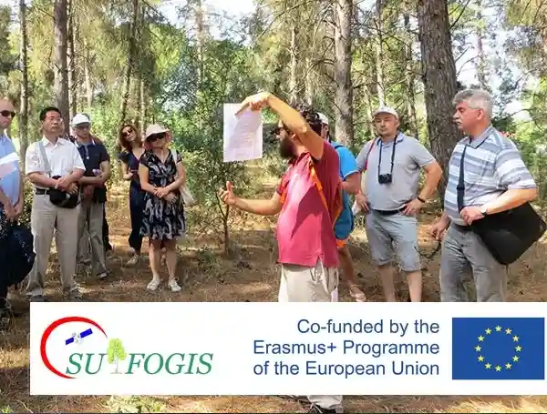 A group of people in a forest in Greece on a forestry training course