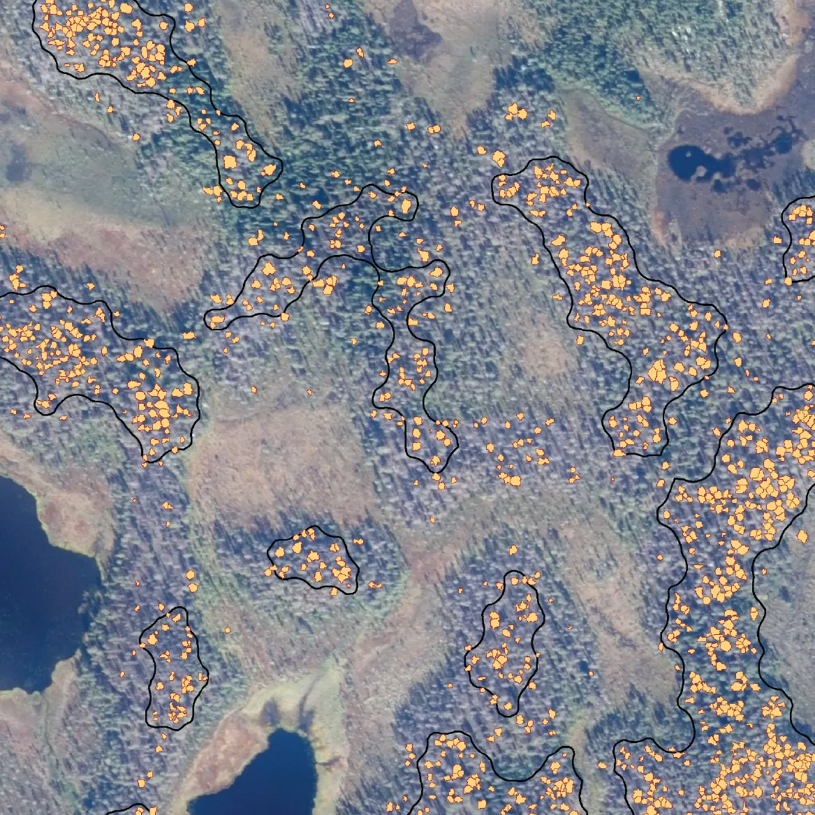 Deadwood cluster mapping