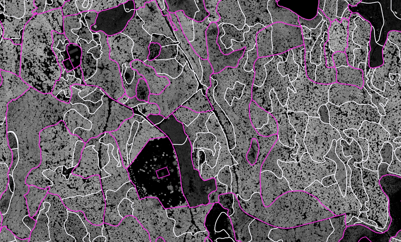 Segmentation of forest stands