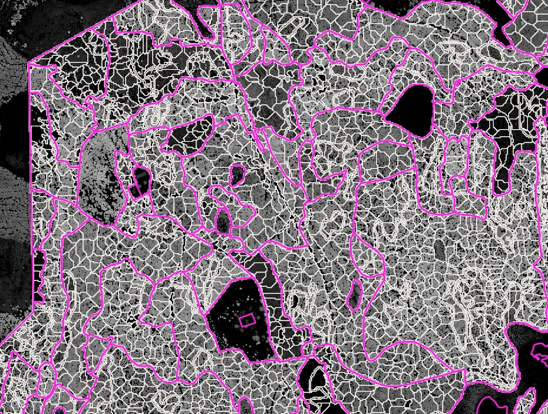 Digital map layer of forest micro-stands