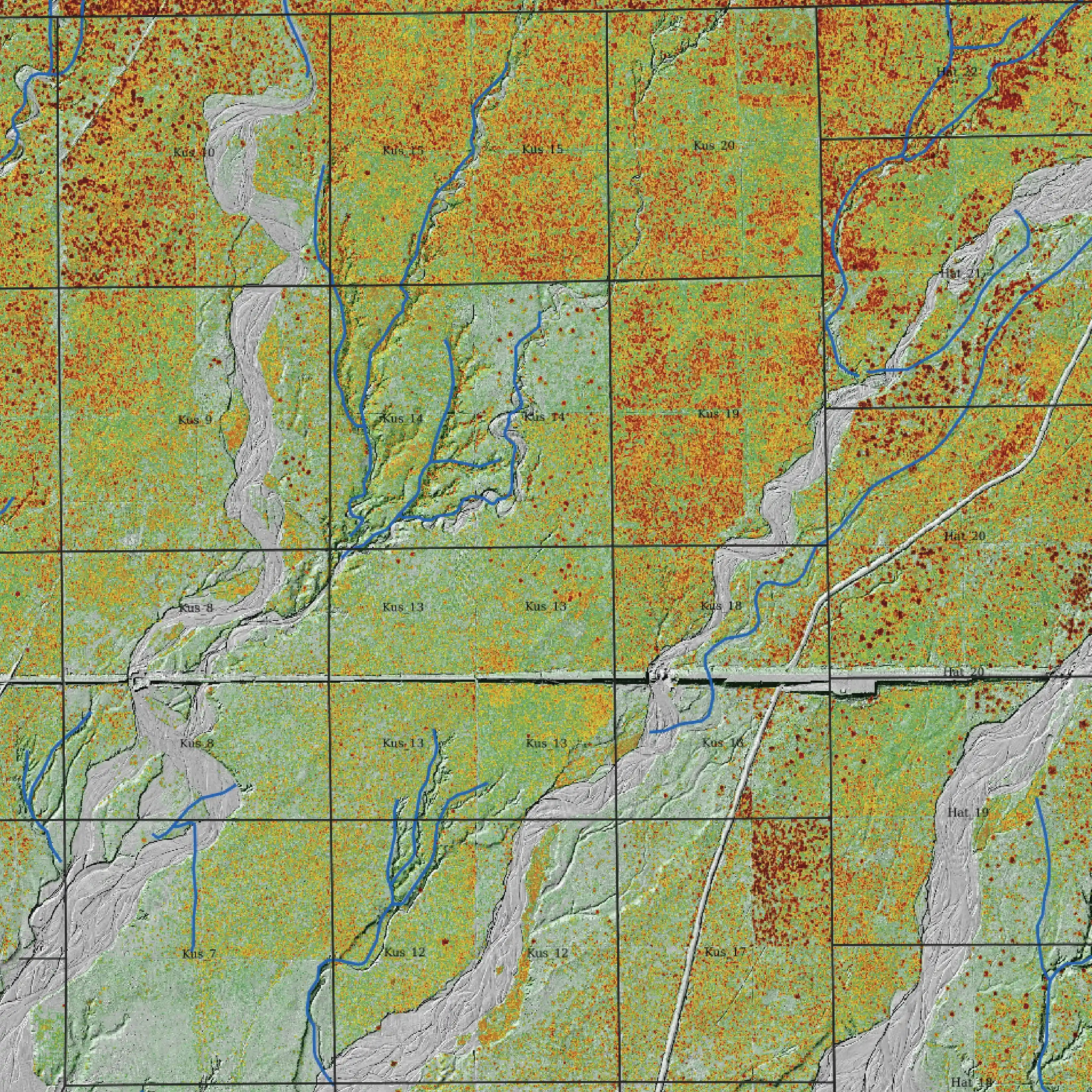 Canopy Height Model Nepal