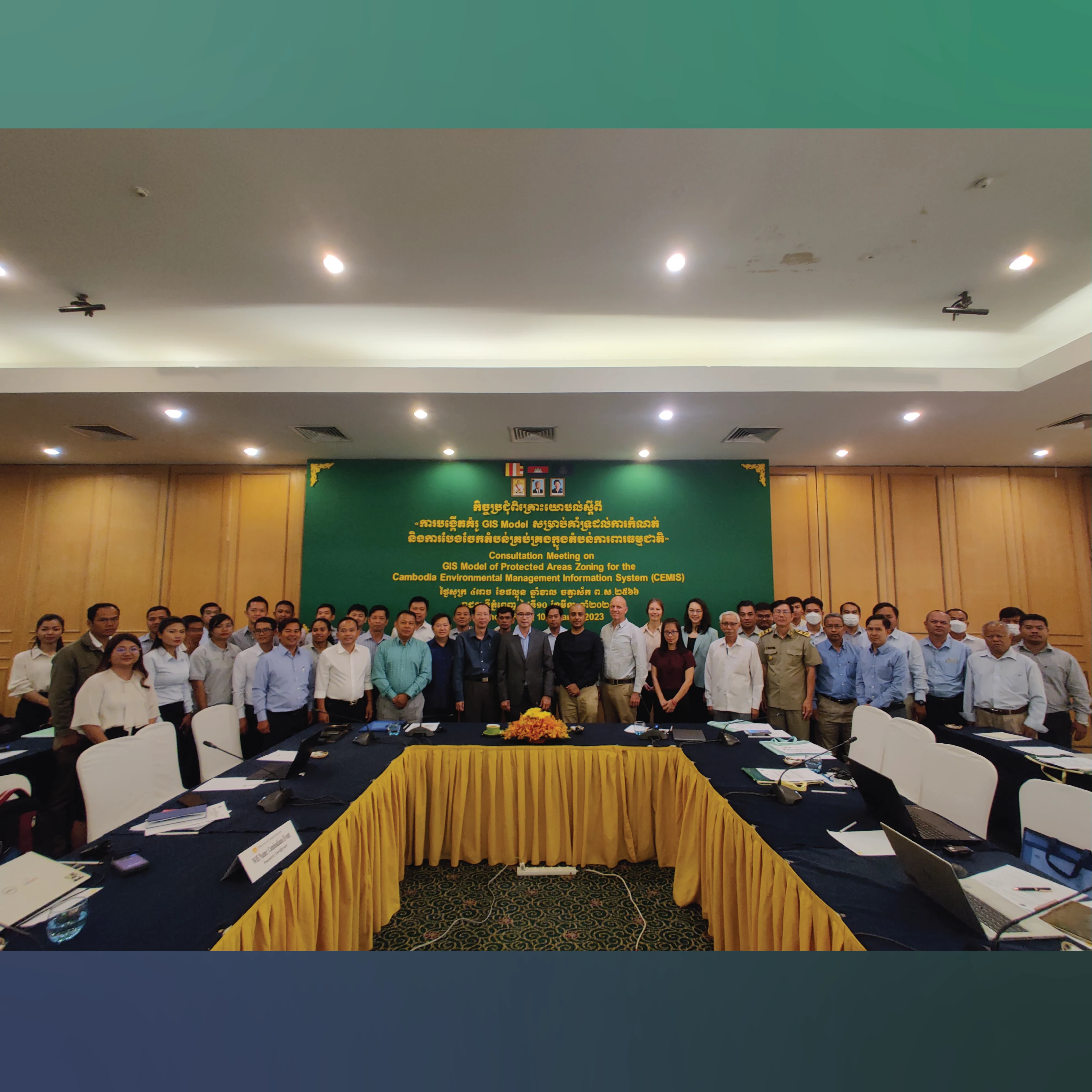 CEMIS consultation meeting