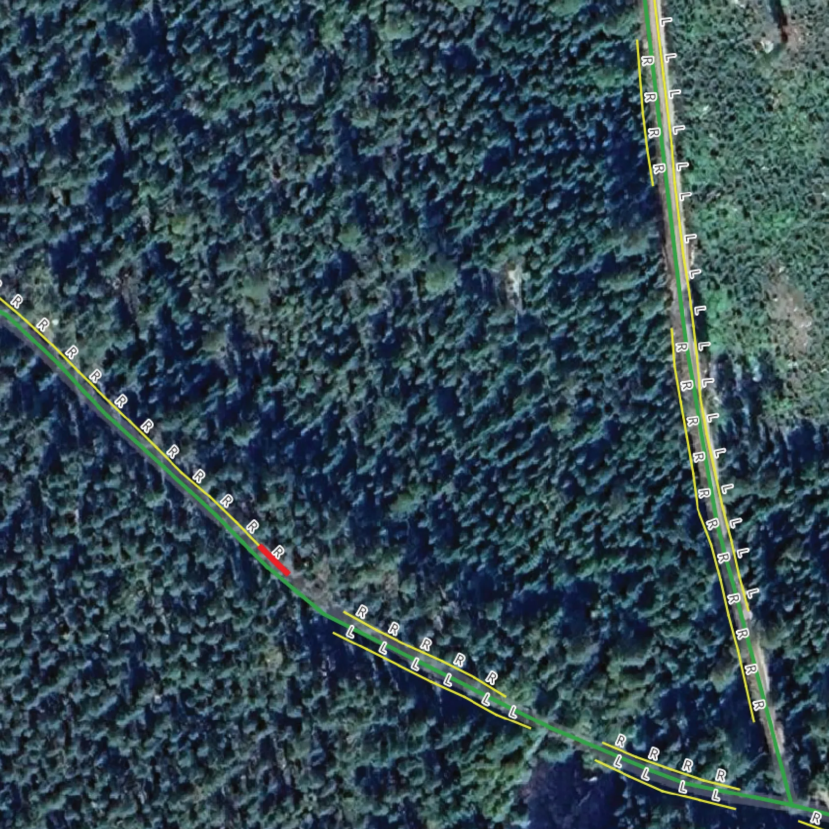 Volume of trees in the forest