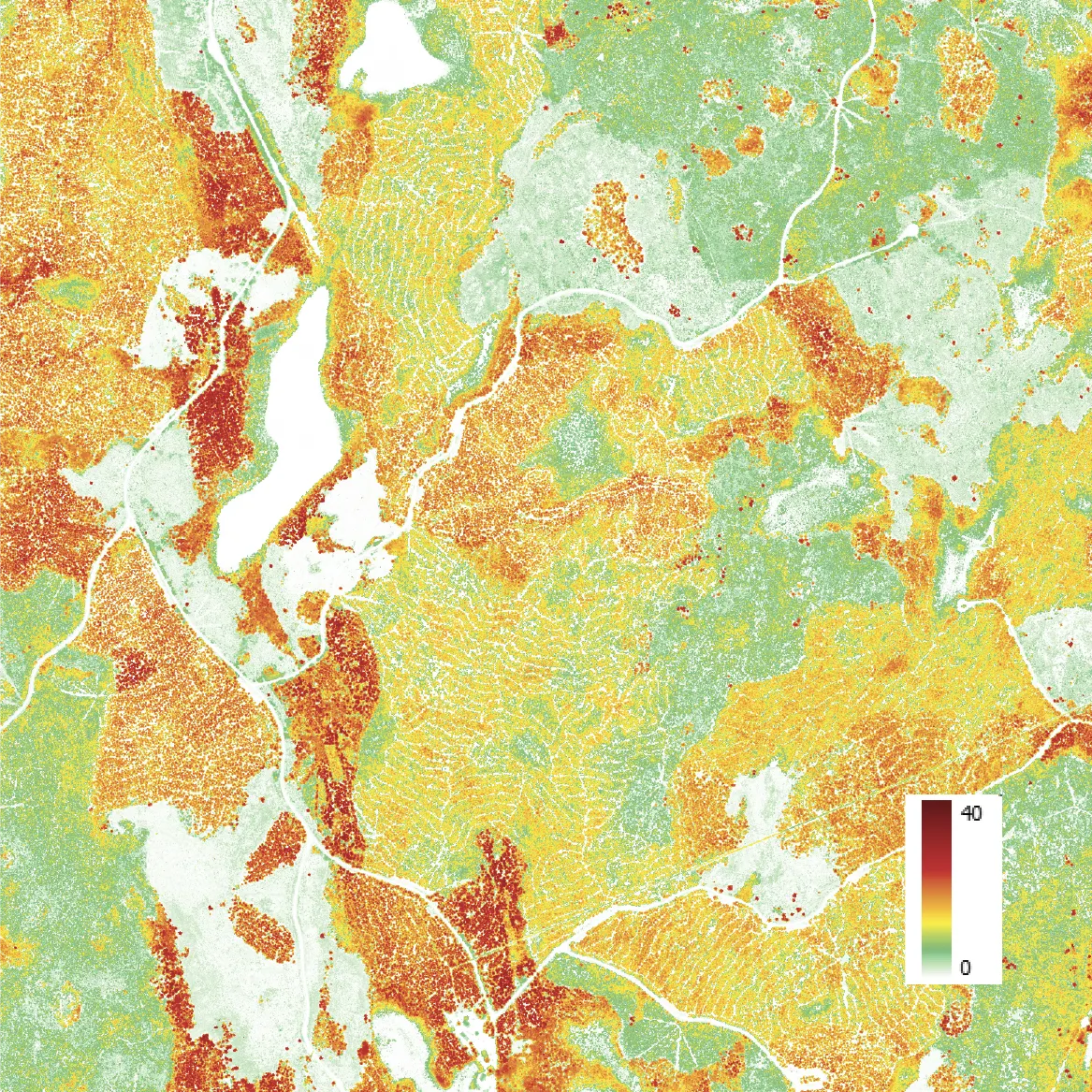 Canopy height model map