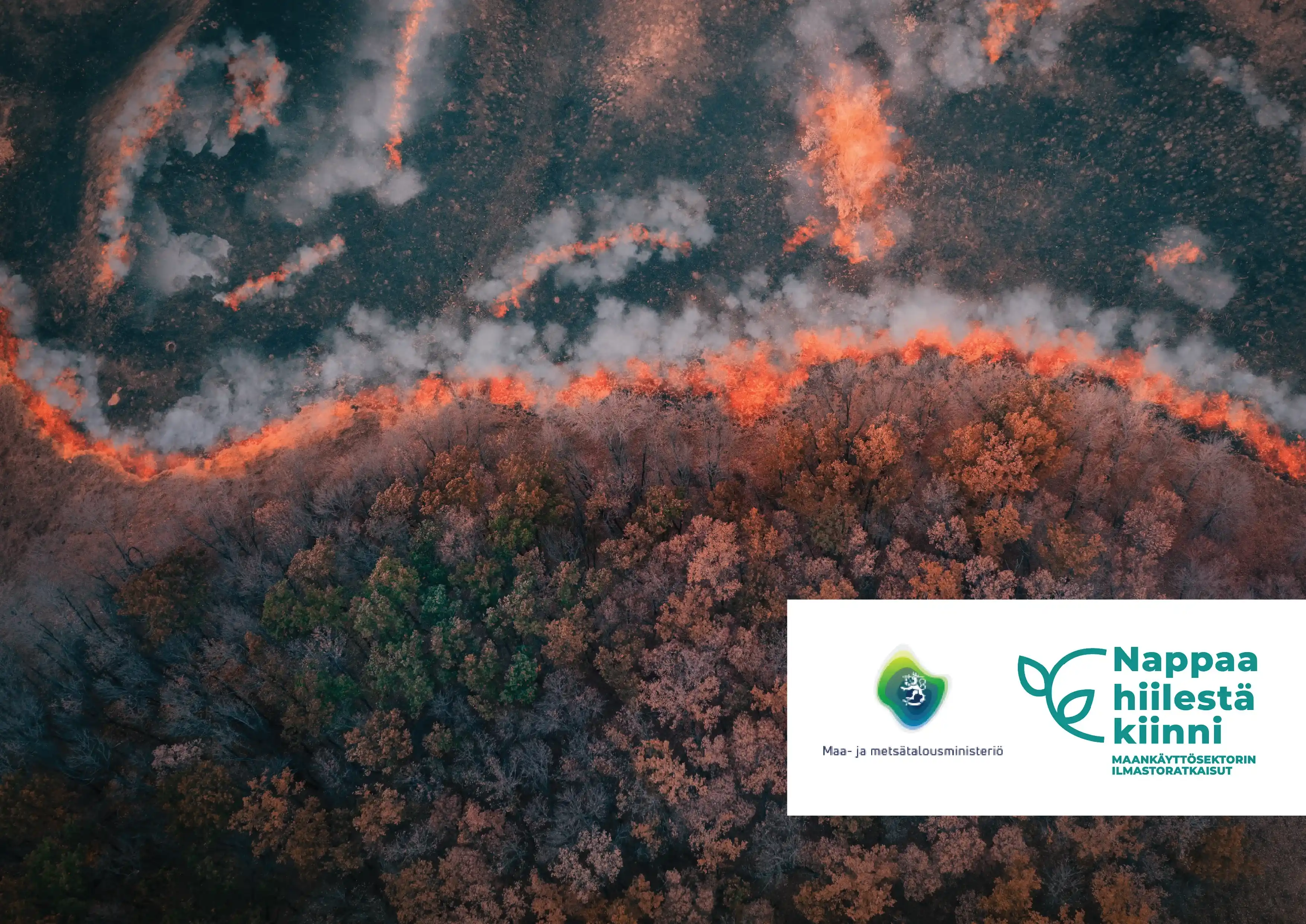 Forest fire risk management