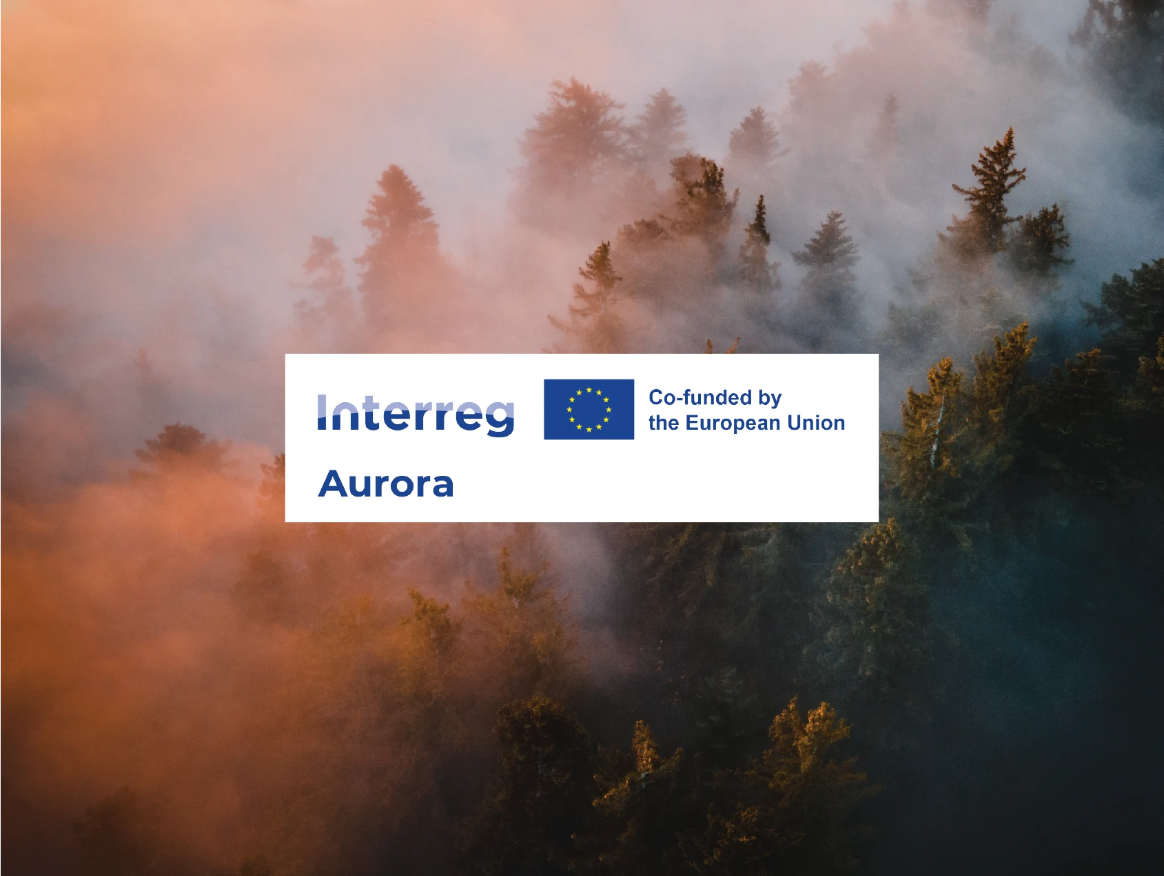  Climate‑Resilient Forestry in the North