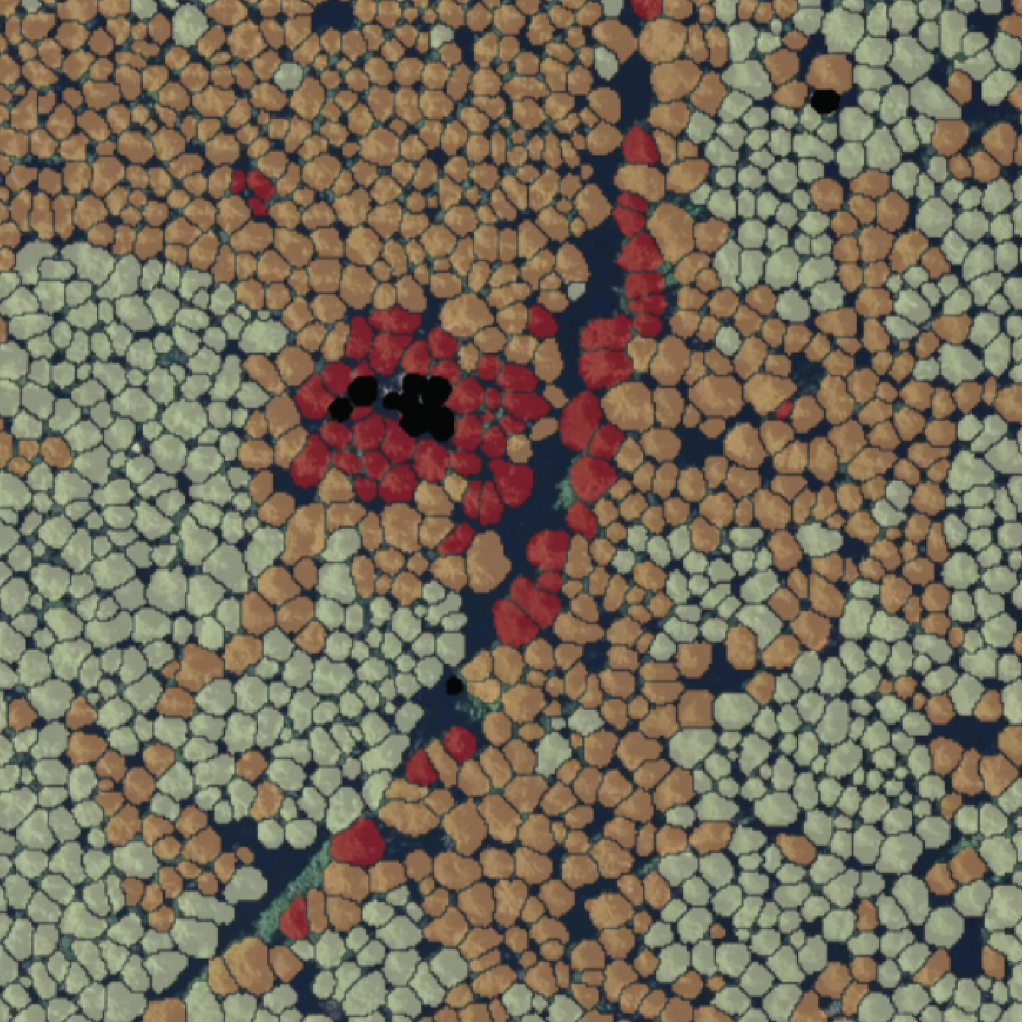 Stress tree identification