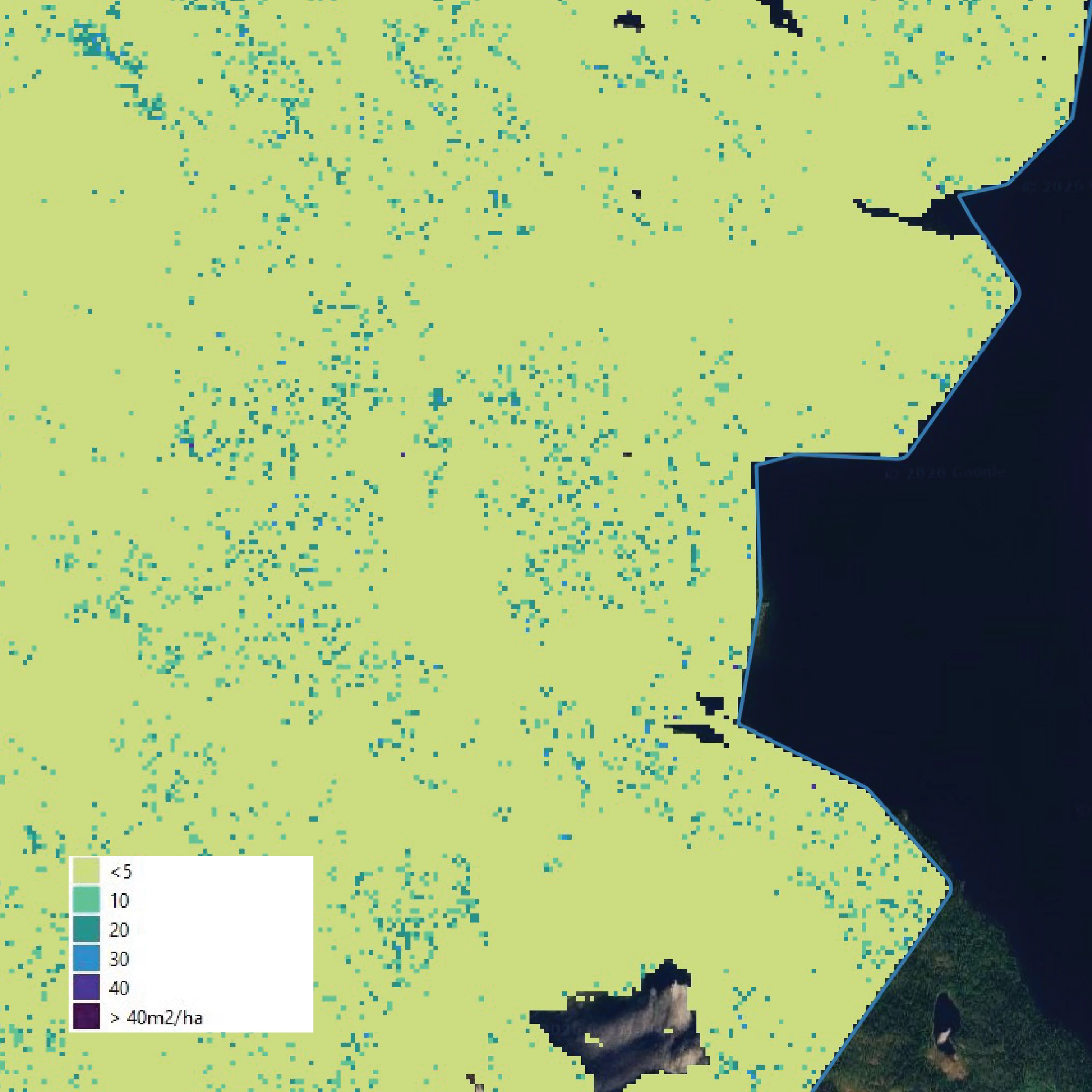 Thinning needs analysis