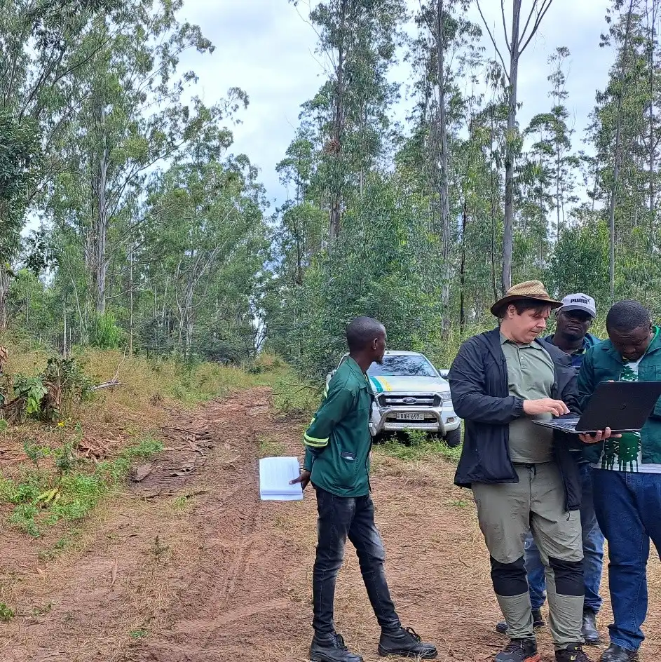 Field work with ZAFFICO in Zambia's plantations