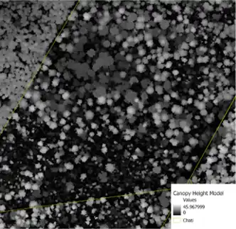 Canopy height model for plantation inventories