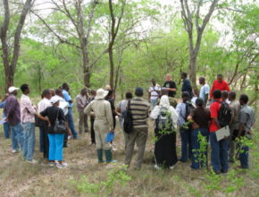 A group of people attending a ArboLiDAR training in forest